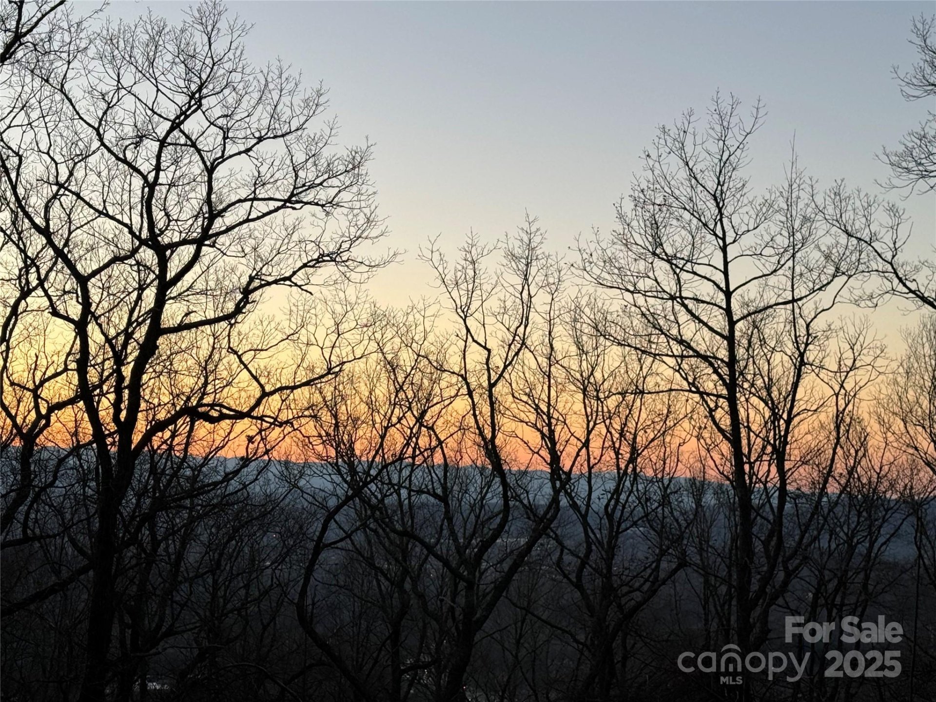 Property image 2 at 96 Castanea Mountain Drive, Asheville, NC 28803