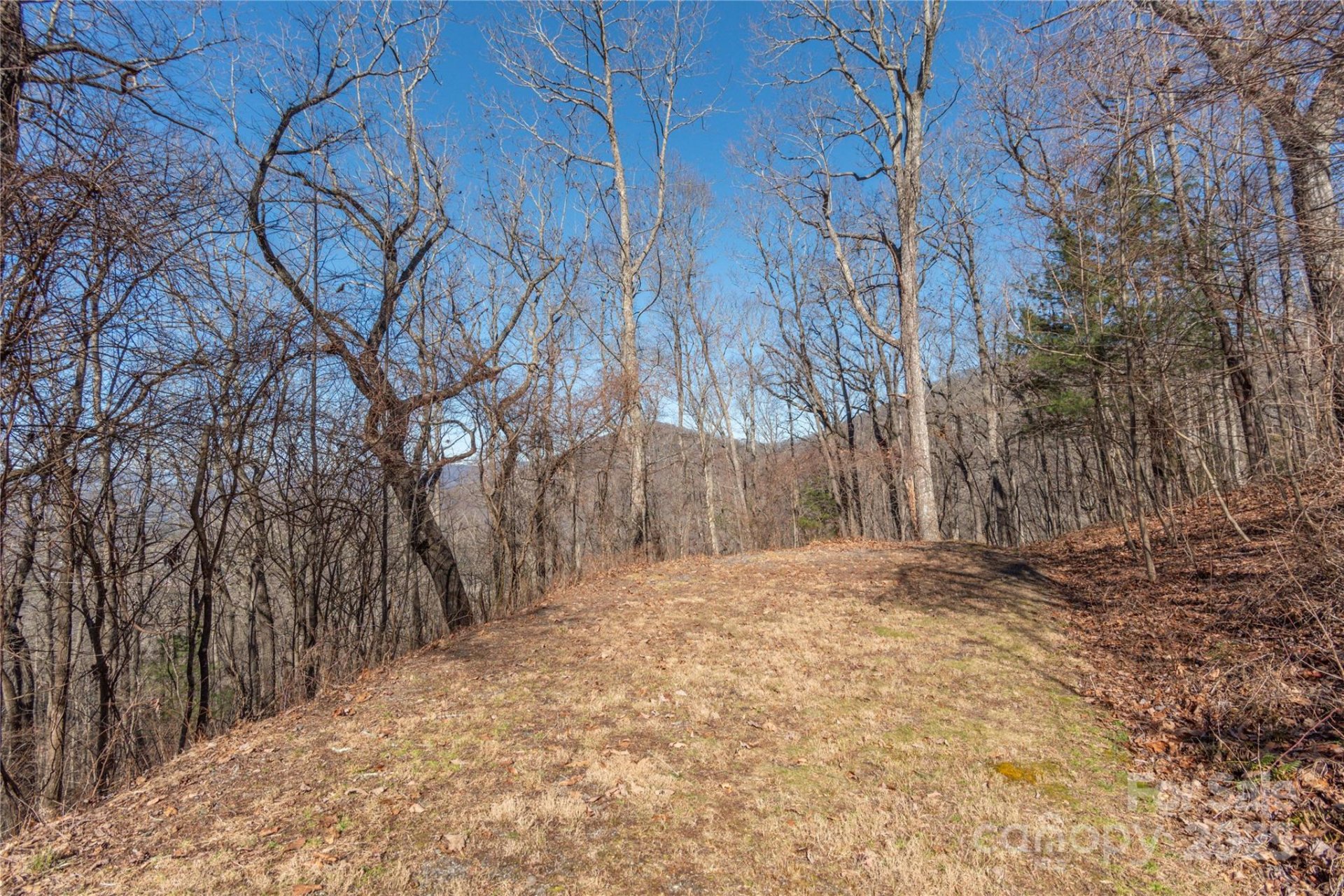 Property image 3 at 96 Castanea Mountain Drive, Asheville, NC 28803