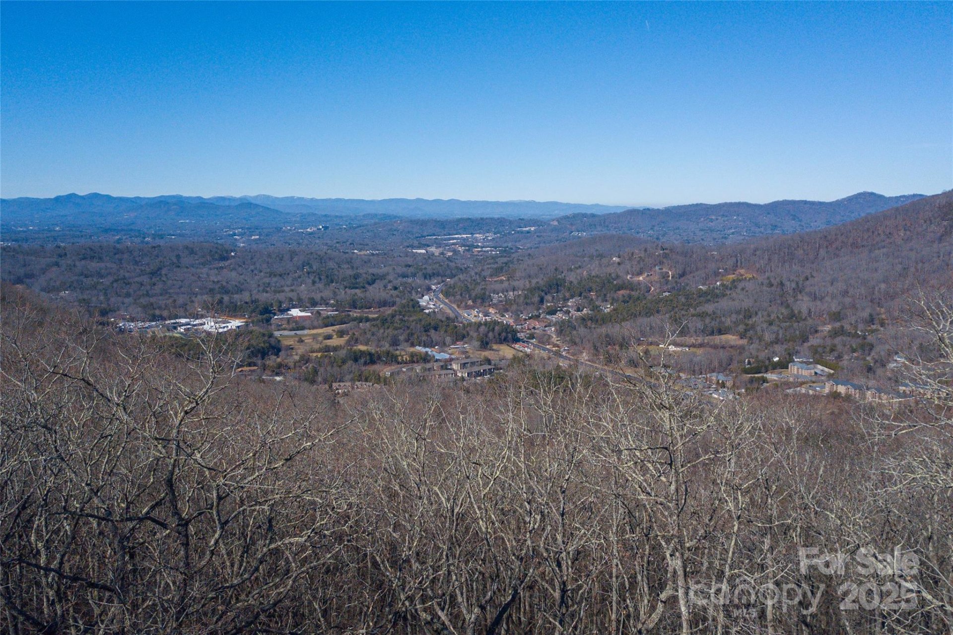 Property image 4 at 96 Castanea Mountain Drive, Asheville, NC 28803