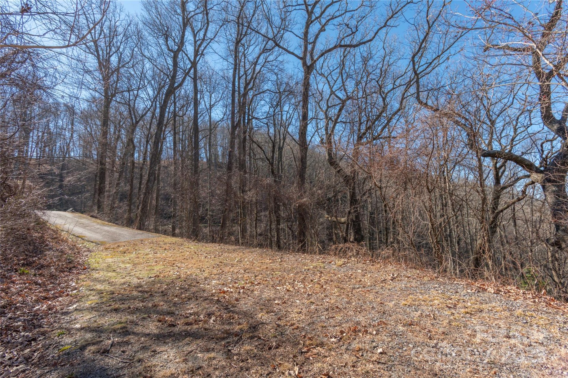 Property image 5 at 96 Castanea Mountain Drive, Asheville, NC 28803