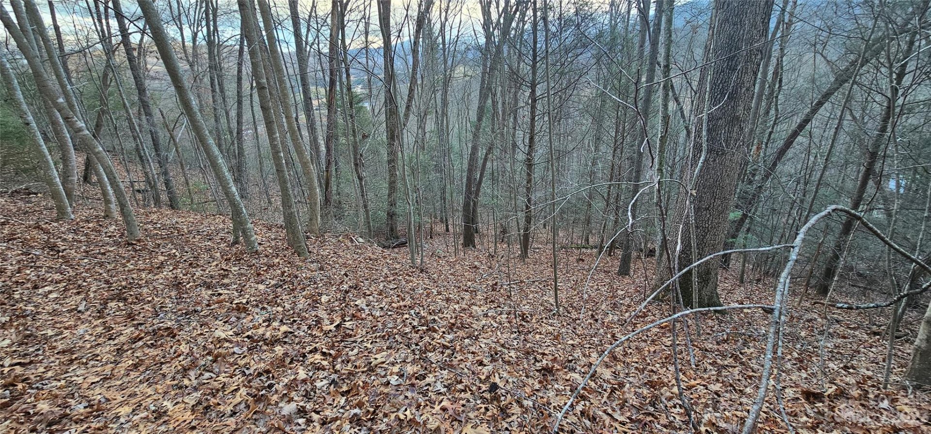 Property image 3 at Lot 10 Seay Mountain Road, Waynesville, NC 28785