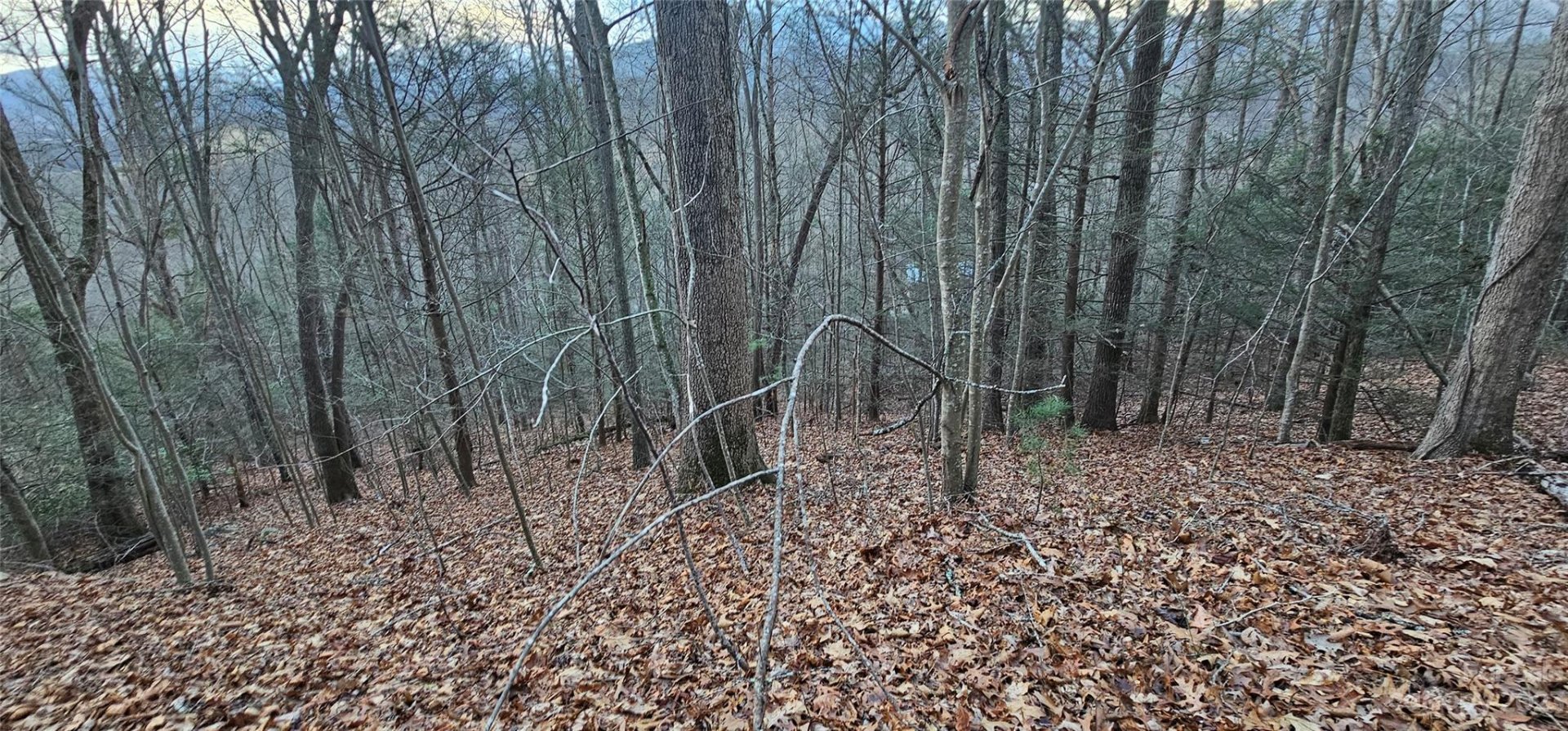 Property image 4 at Lot 10 Seay Mountain Road, Waynesville, NC 28785