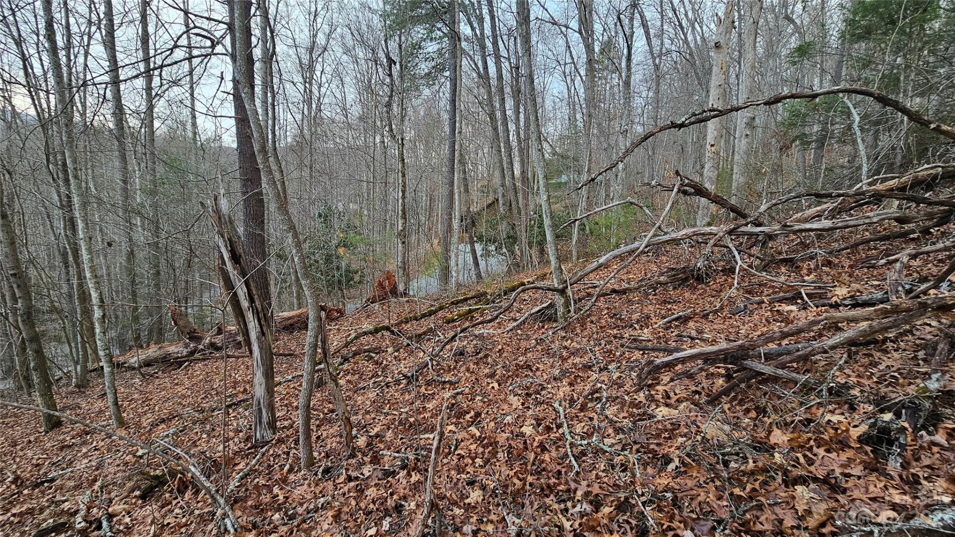 Property image 2 at Lot 13 Seay Mountain Road, Waynesville, NC 28785