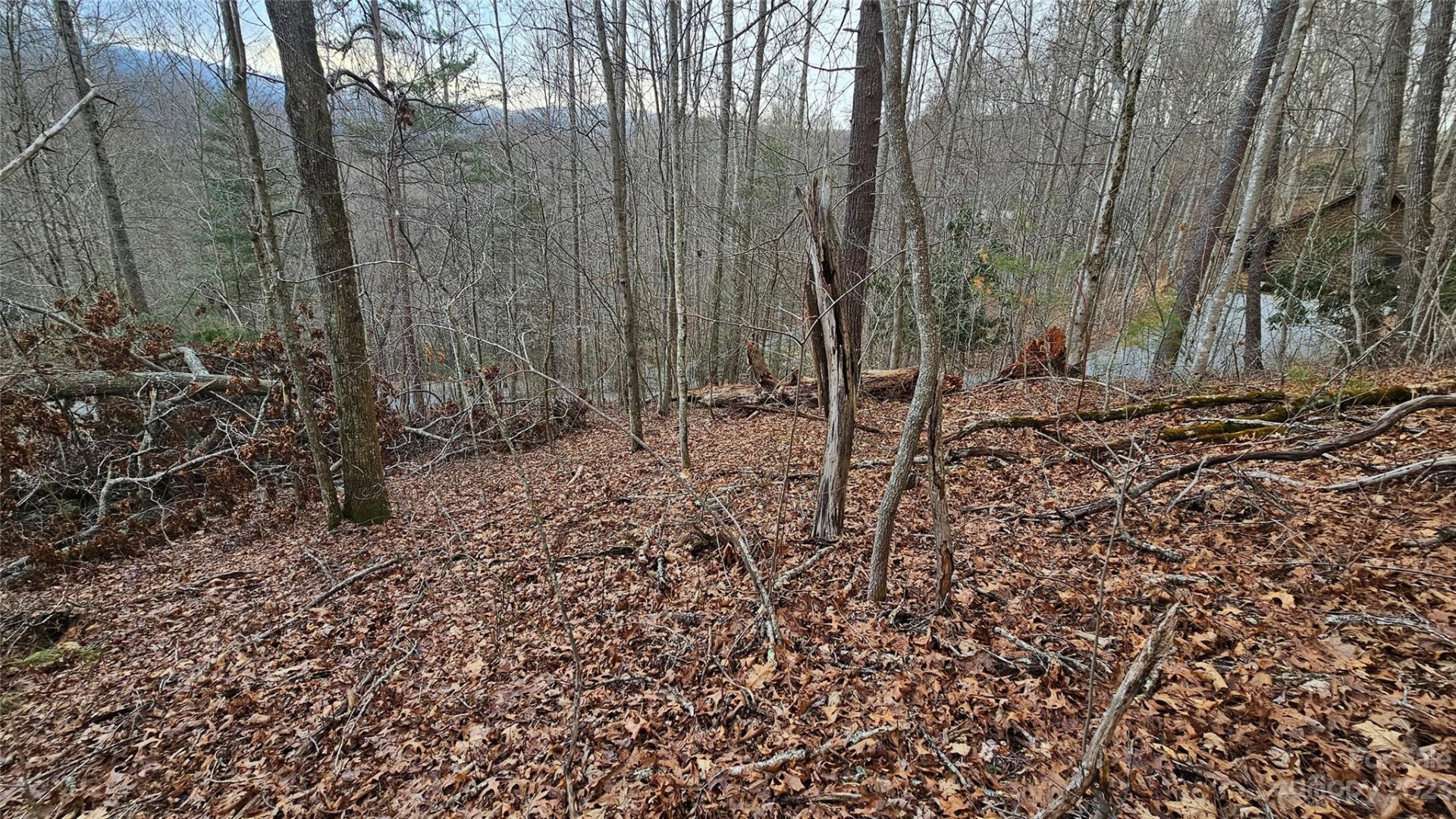 Property image 3 at Lot 13 Seay Mountain Road, Waynesville, NC 28785