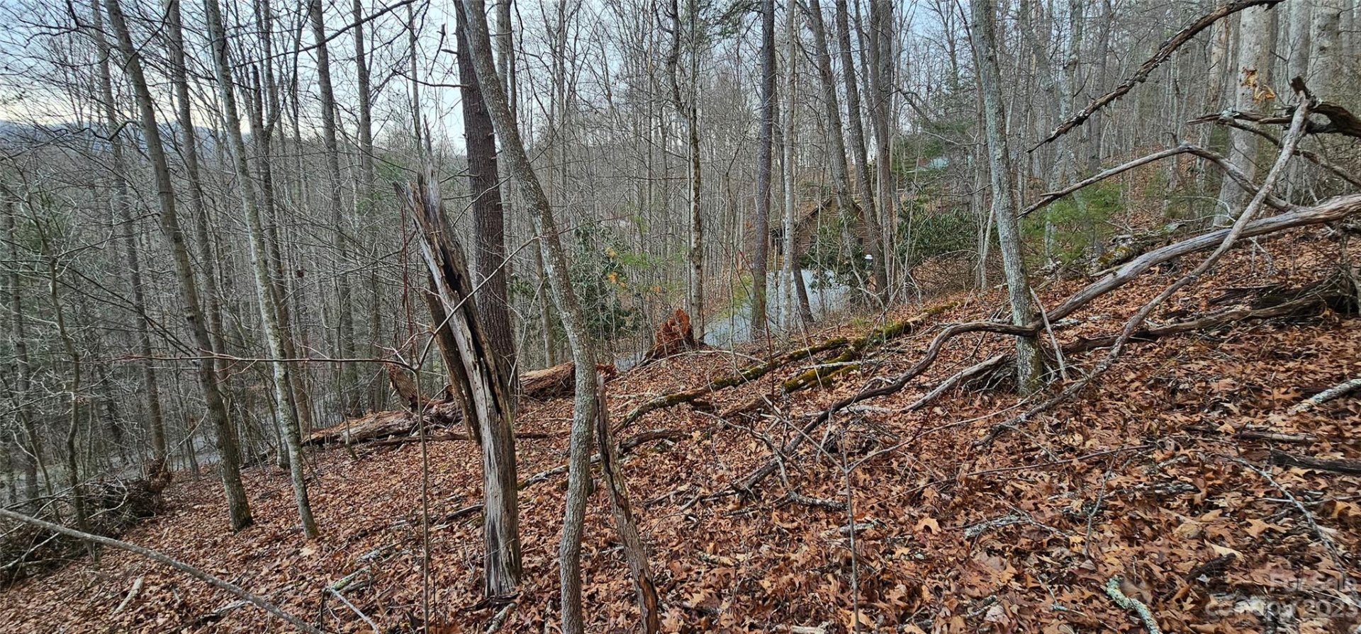Property image 4 at Lot 13 Seay Mountain Road, Waynesville, NC 28785