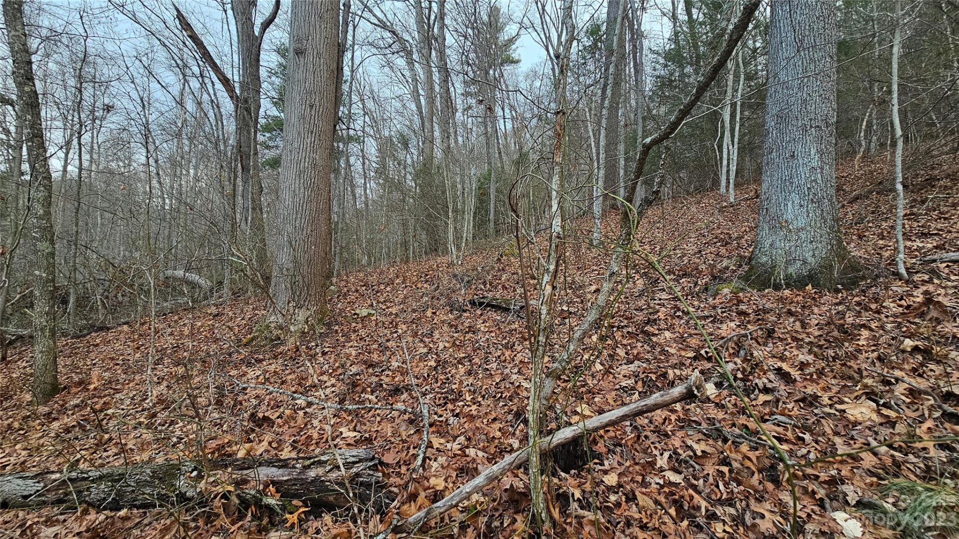 Property image 5 at Lot 14 Seay Mountain Road, Waynesville, NC 28785