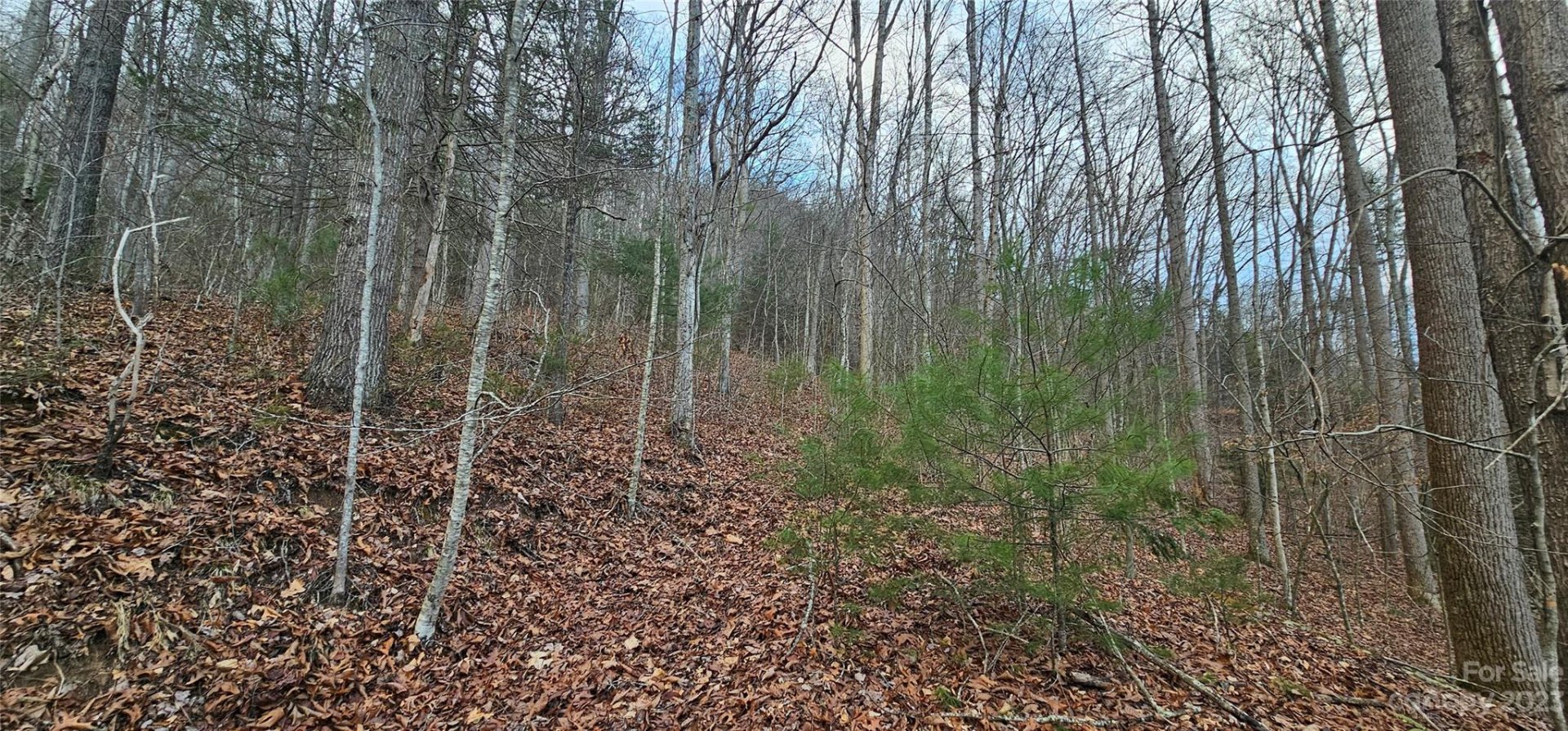 Property image 3 at 4 Lots Seay Mountain Road, Waynesville, NC 28785