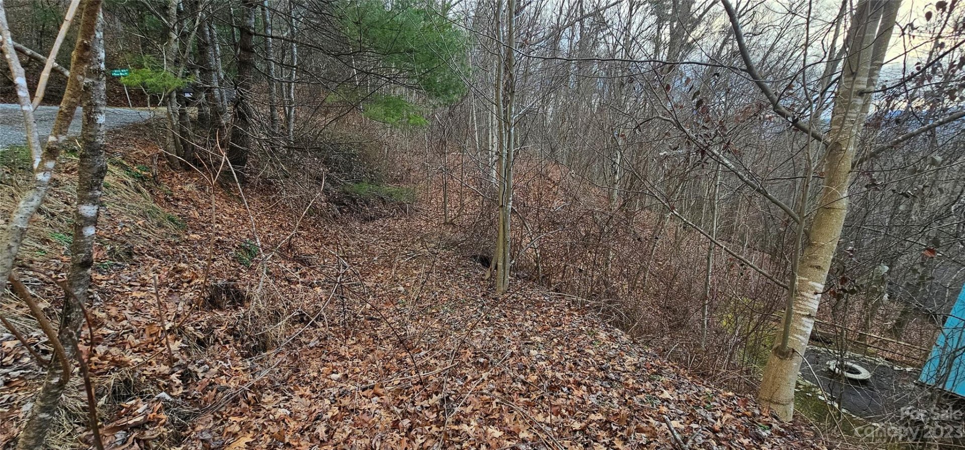 Property image 4 at 4 Lots Seay Mountain Road, Waynesville, NC 28785