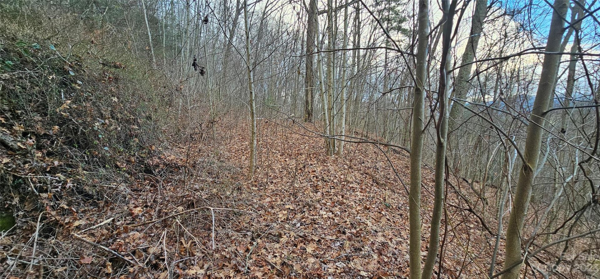 Property image 5 at 4 Lots Seay Mountain Road, Waynesville, NC 28785