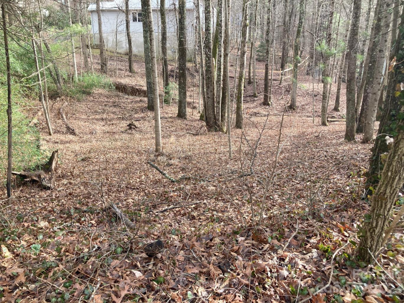 Property image 1 at 0 Summer Savory Court, Flat Rock, NC 28731