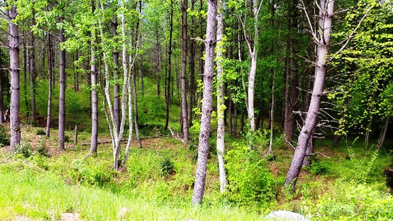 3277 Peninsula Pointe Drive