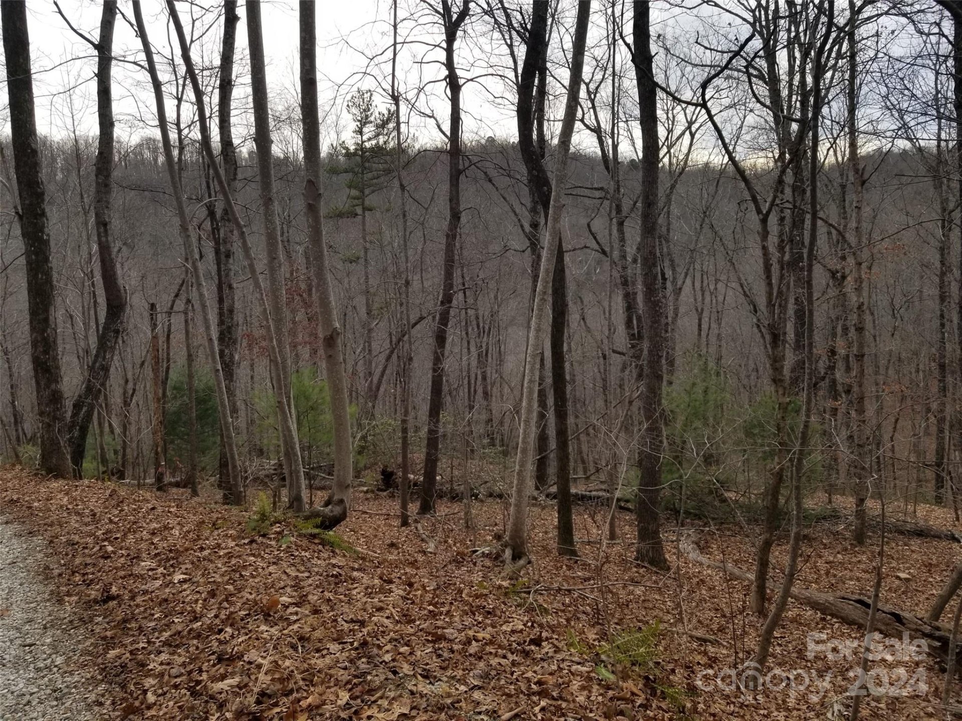 Property image 1 at Lot 30 Bobcat Trail, Saluda, NC 28773