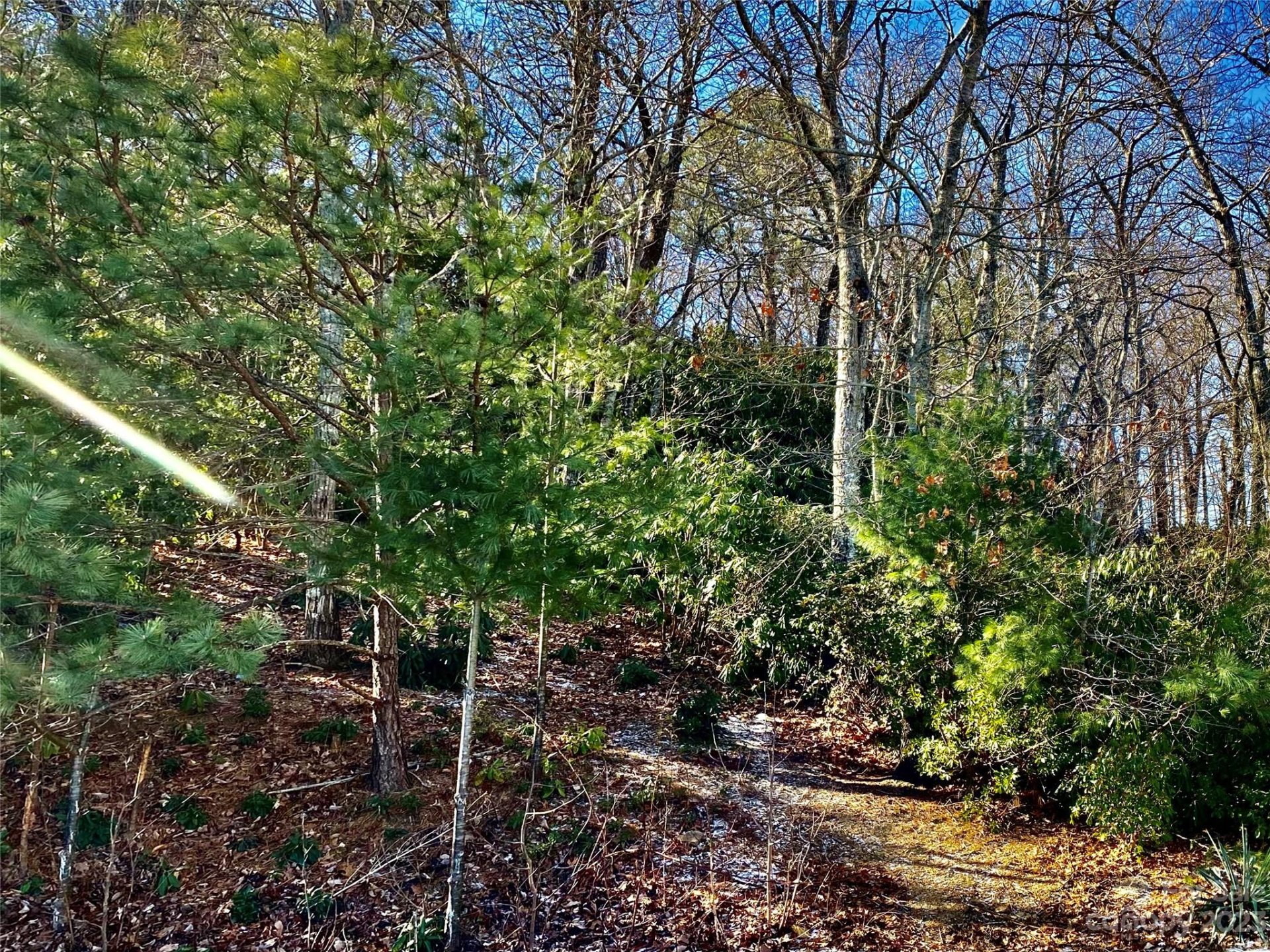 Property image 1 at 10 Grouse Terrace, Fairview, NC 28730