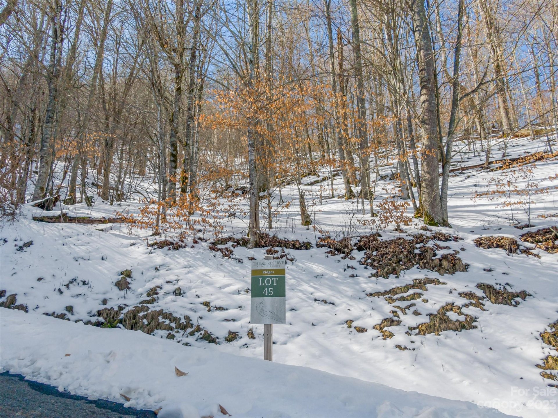Property at Lot 45 Black Bear Run, Mars Hill, NC 28754