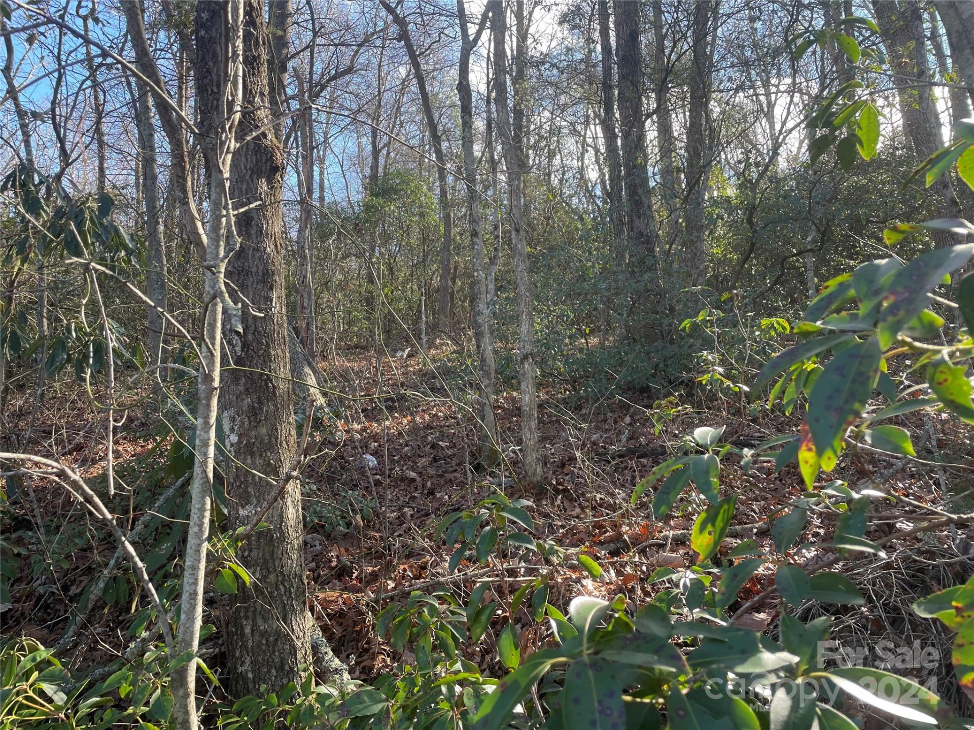 Property image 3 at 146 Center Street, Black Mountain, NC 28711