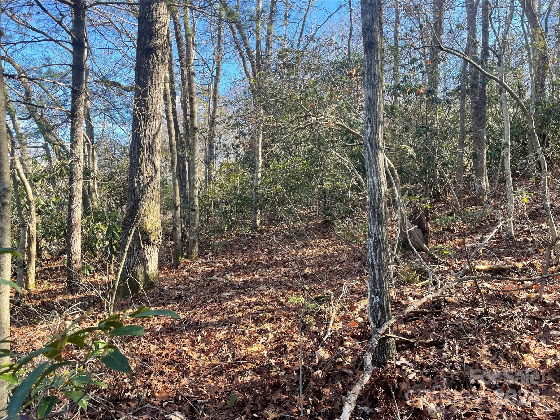 Property image 4 at 146 Center Street, Black Mountain, NC 28711
