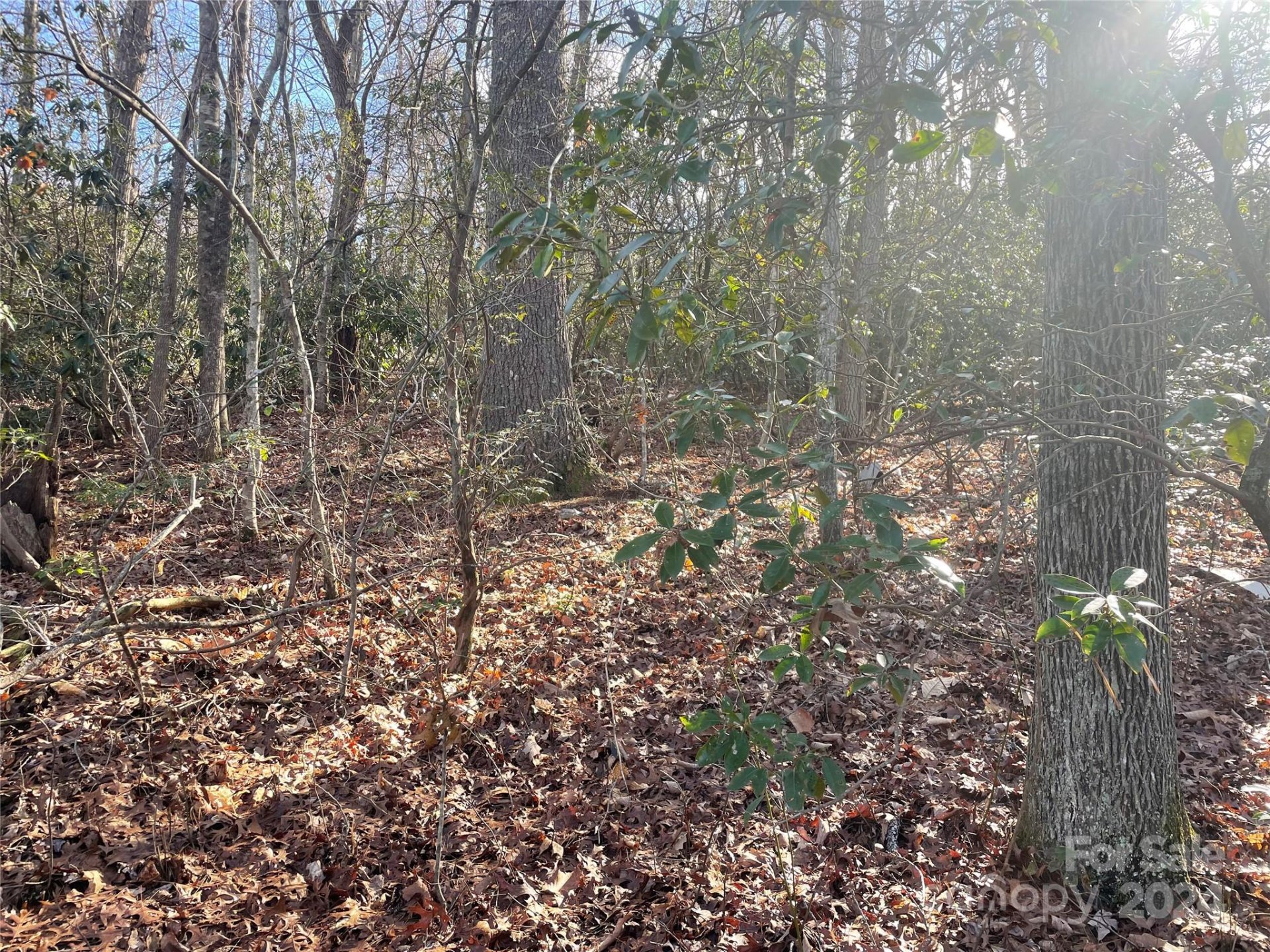 Property image 5 at 146 Center Street, Black Mountain, NC 28711
