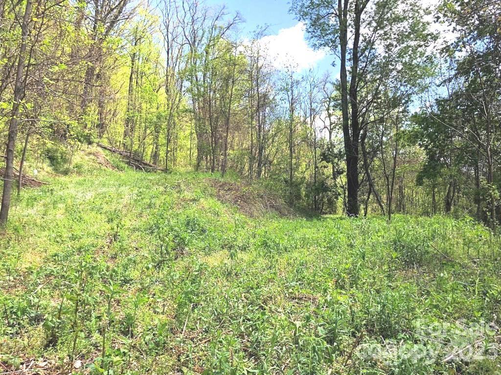 Property image 1 at 384 Live Oak Loop, Waynesville, NC 28785