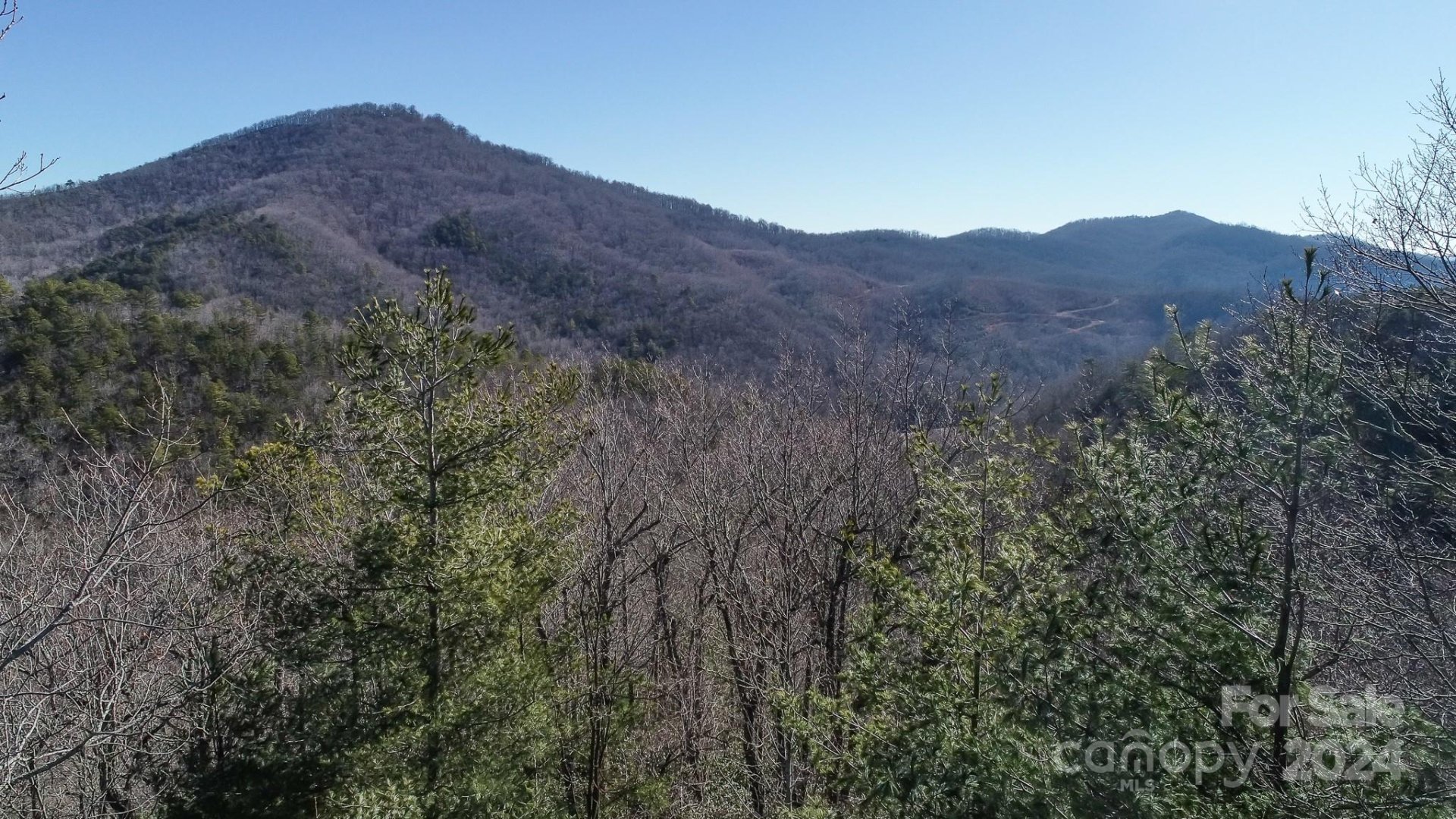 Property image 1 at 82 Davey Crockett Road, Fairview, NC 28730