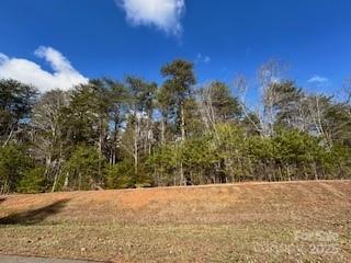 Property image 2 at 10525 Green Heron Court, Charlotte, NC 28278