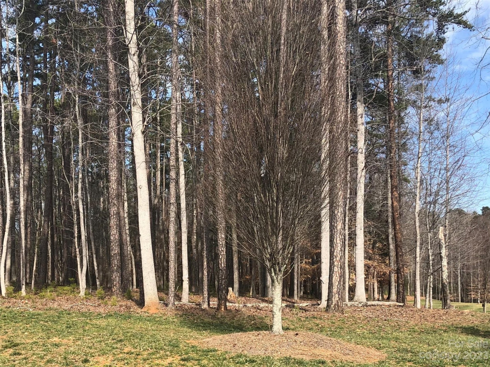 Property image 1 at 6208 Hollow Oak Drive, Mint Hill, NC 28227