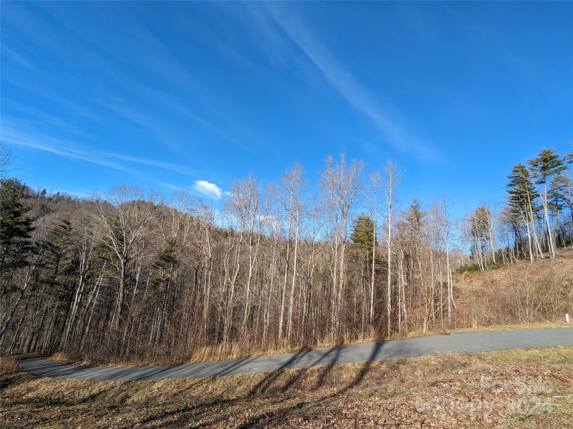 Property at 27 Bent Branch Lane, Asheville, NC 28804