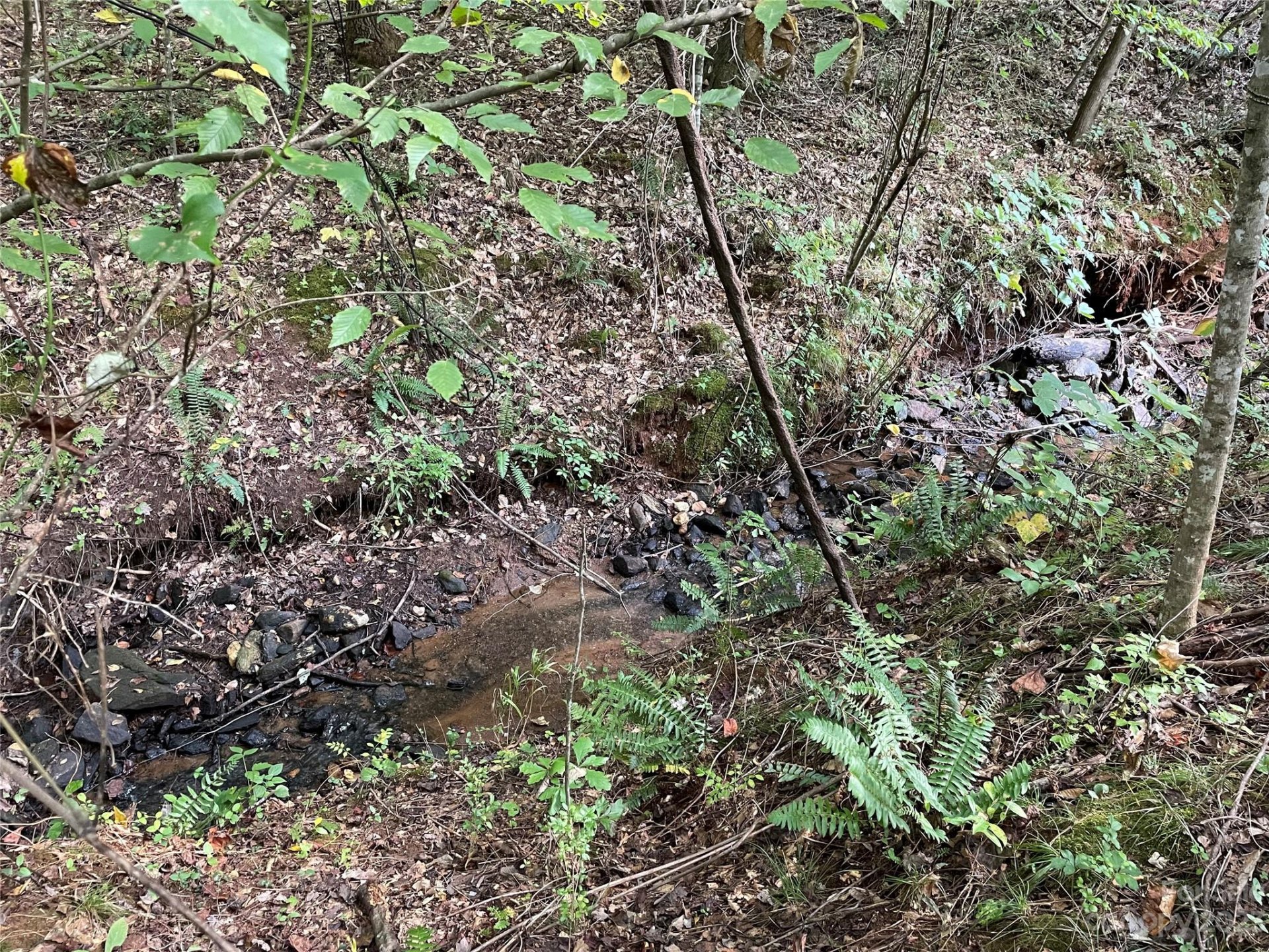 Property image 1 at 0 N Dakota Drive, Rutherfordton, NC 28139