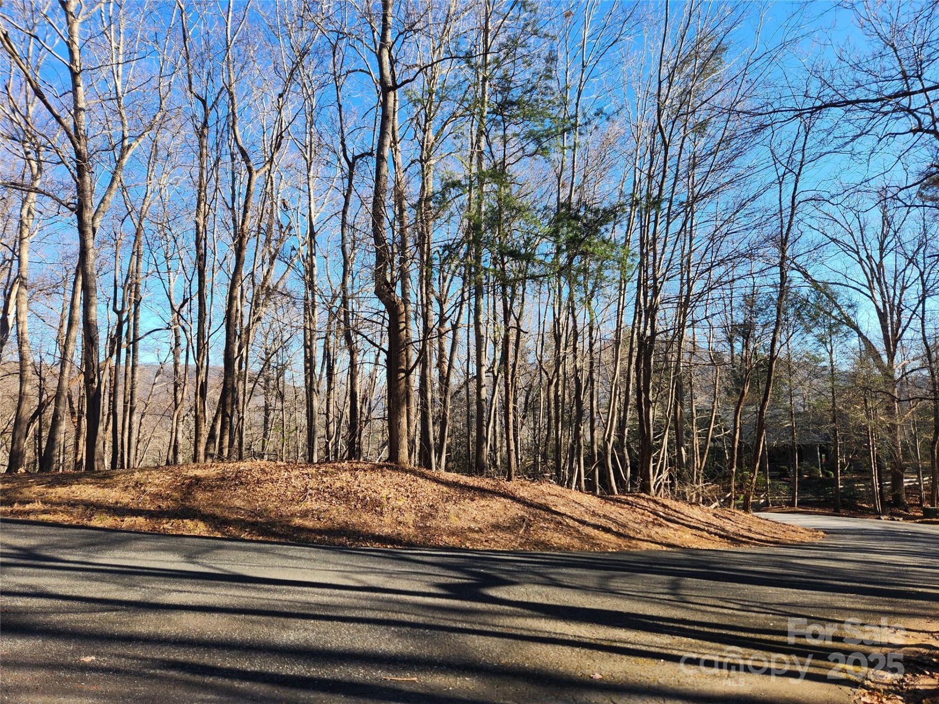 Lot 218 Bolt Road