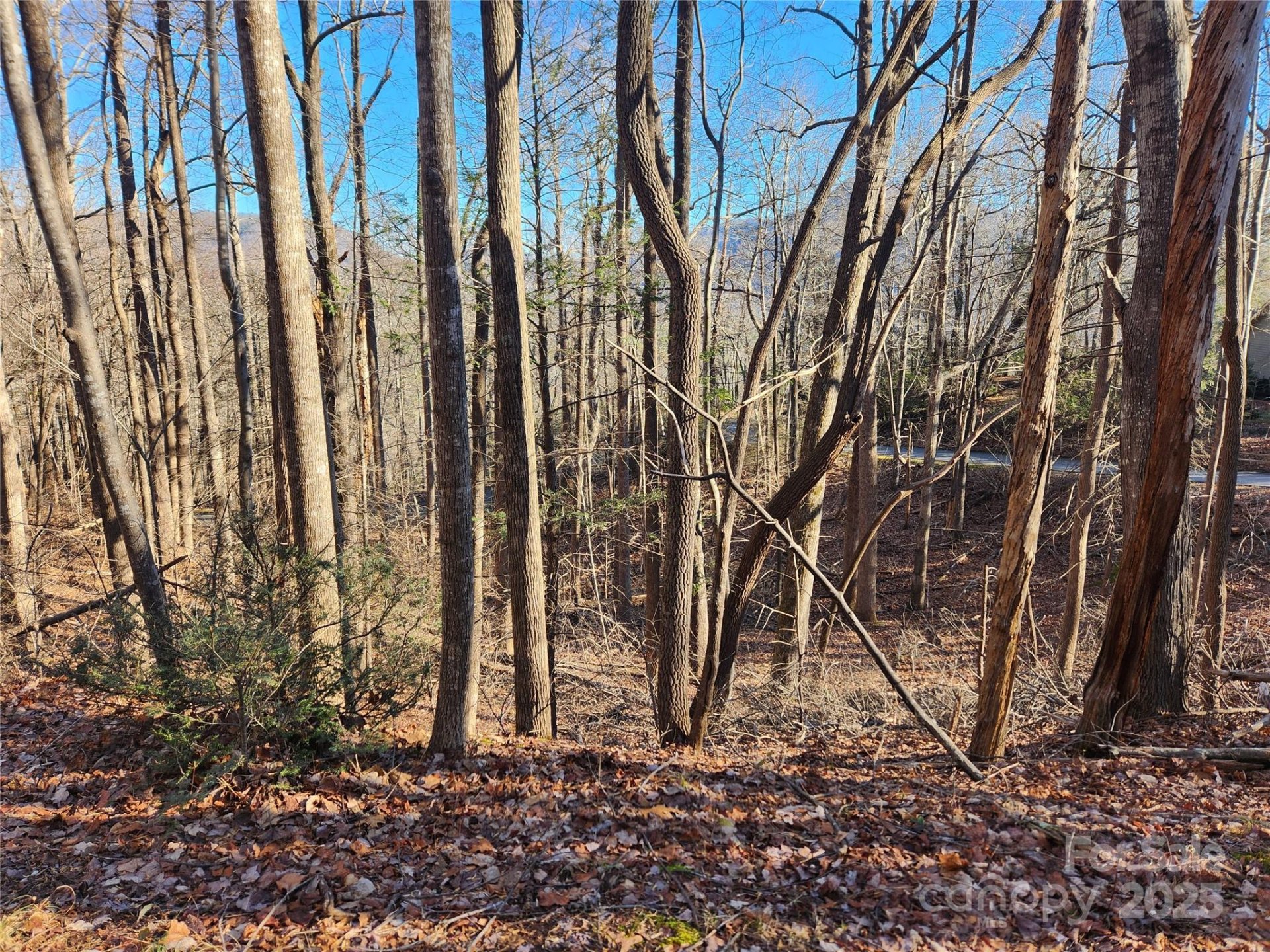 Property image 2 at Lot 218 Bolt Road, Lake Lure, NC 28746
