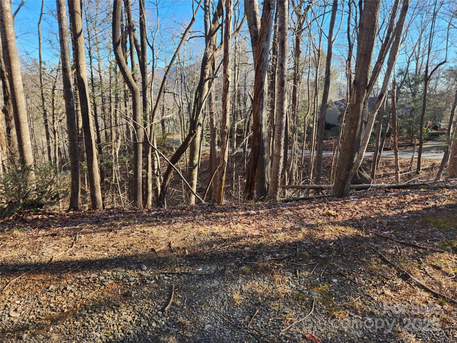 Property image 3 at Lot 218 Bolt Road, Lake Lure, NC 28746
