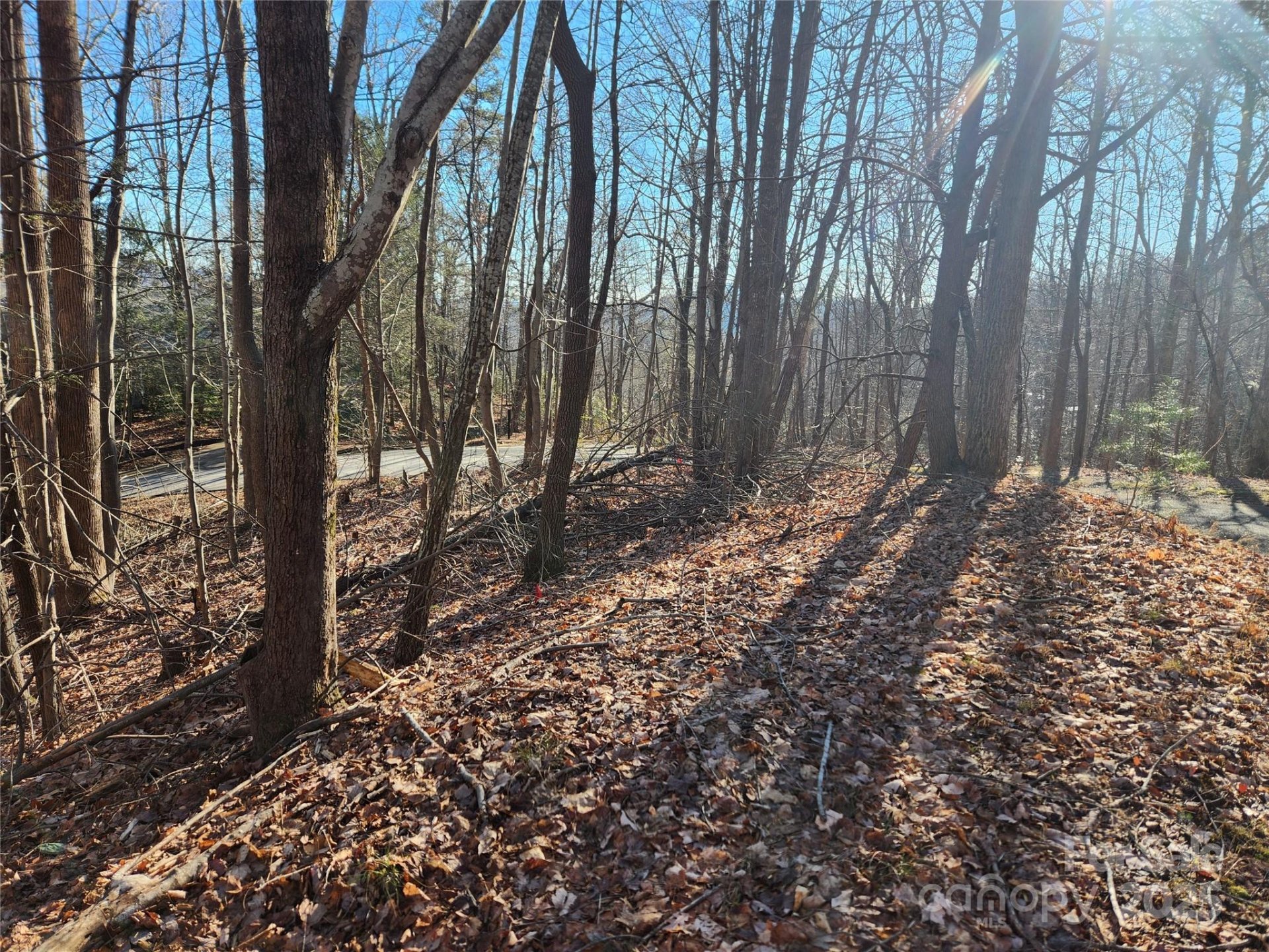 Property image 5 at Lot 218 Bolt Road, Lake Lure, NC 28746