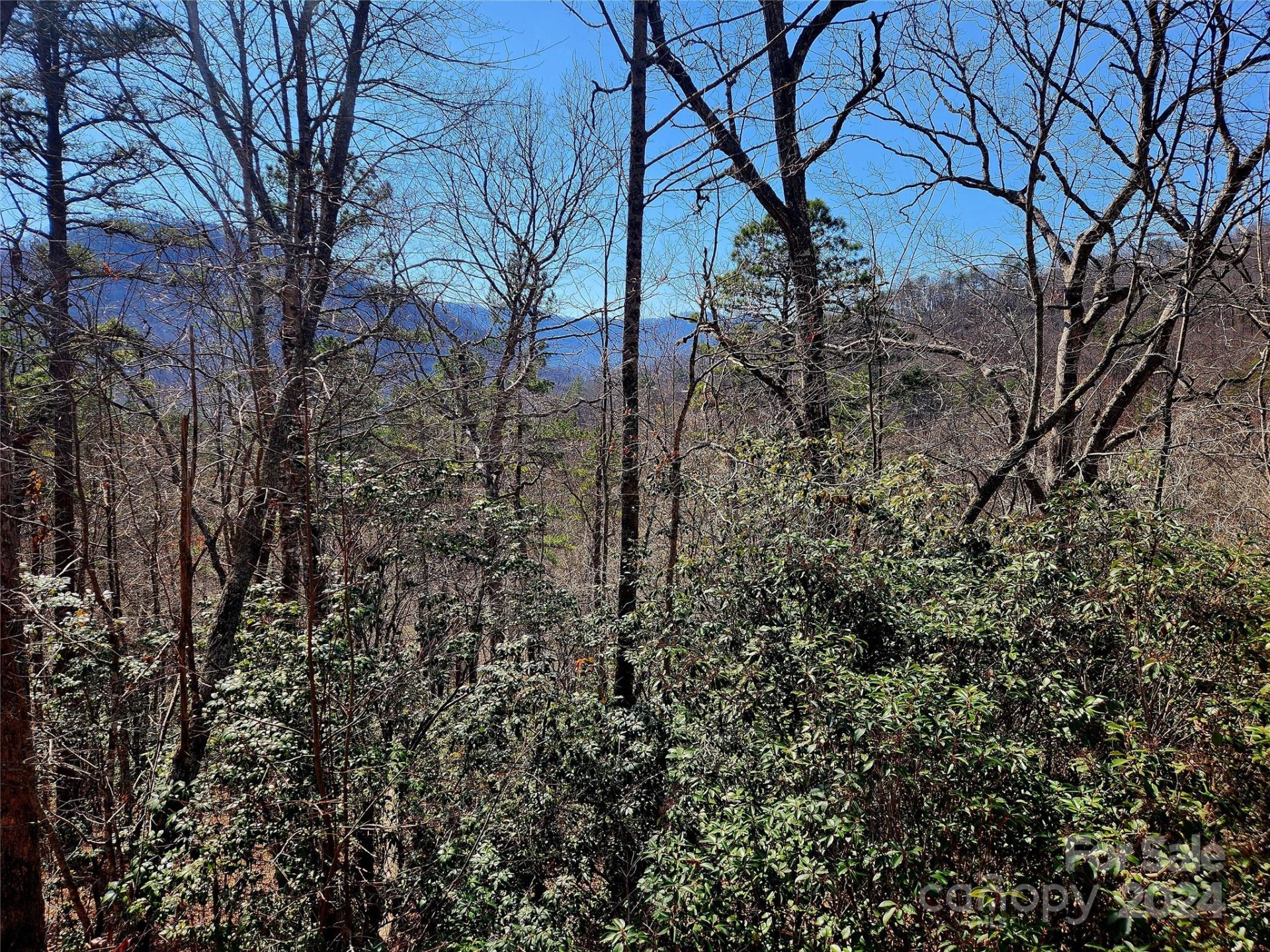 Lt D16 Cedar Creek Farm Road