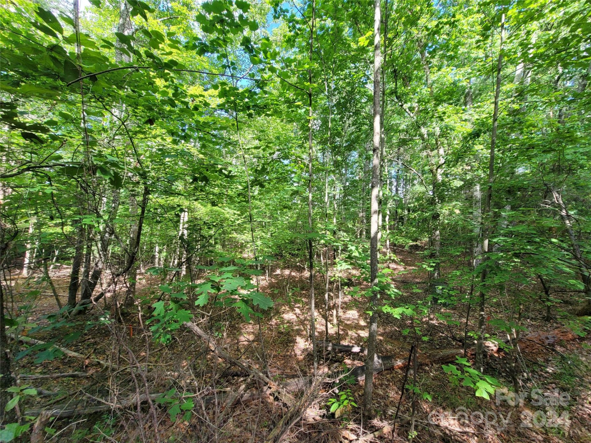 Property image 4 at 000 Mcowenben Pass, Lake Lure, NC 28746