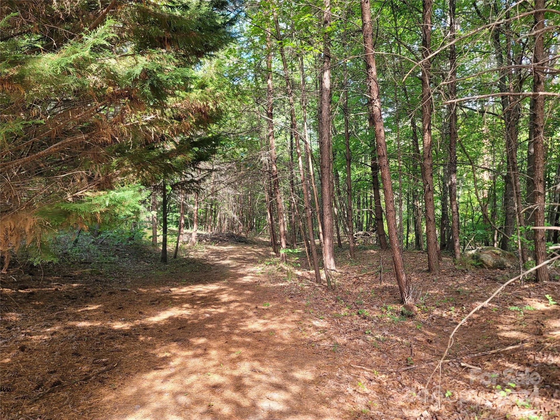 Property image 5 at 0 Mcowenben Pass, Lake Lure, NC 28746