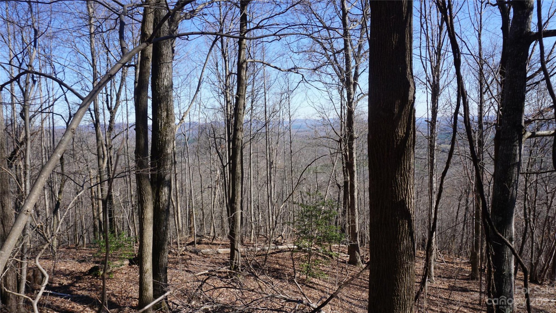 Property image 3 at 41 Pinnacle Parkway, Union Mills, NC 28167