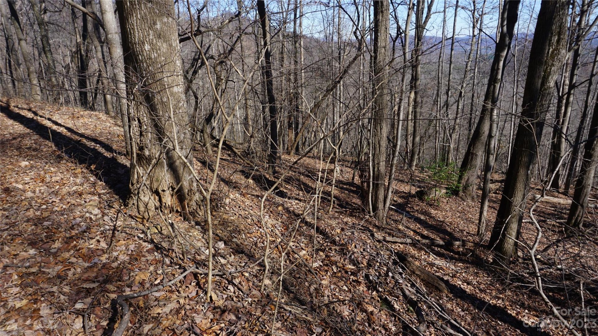 Property image 4 at 41 Pinnacle Parkway, Union Mills, NC 28167