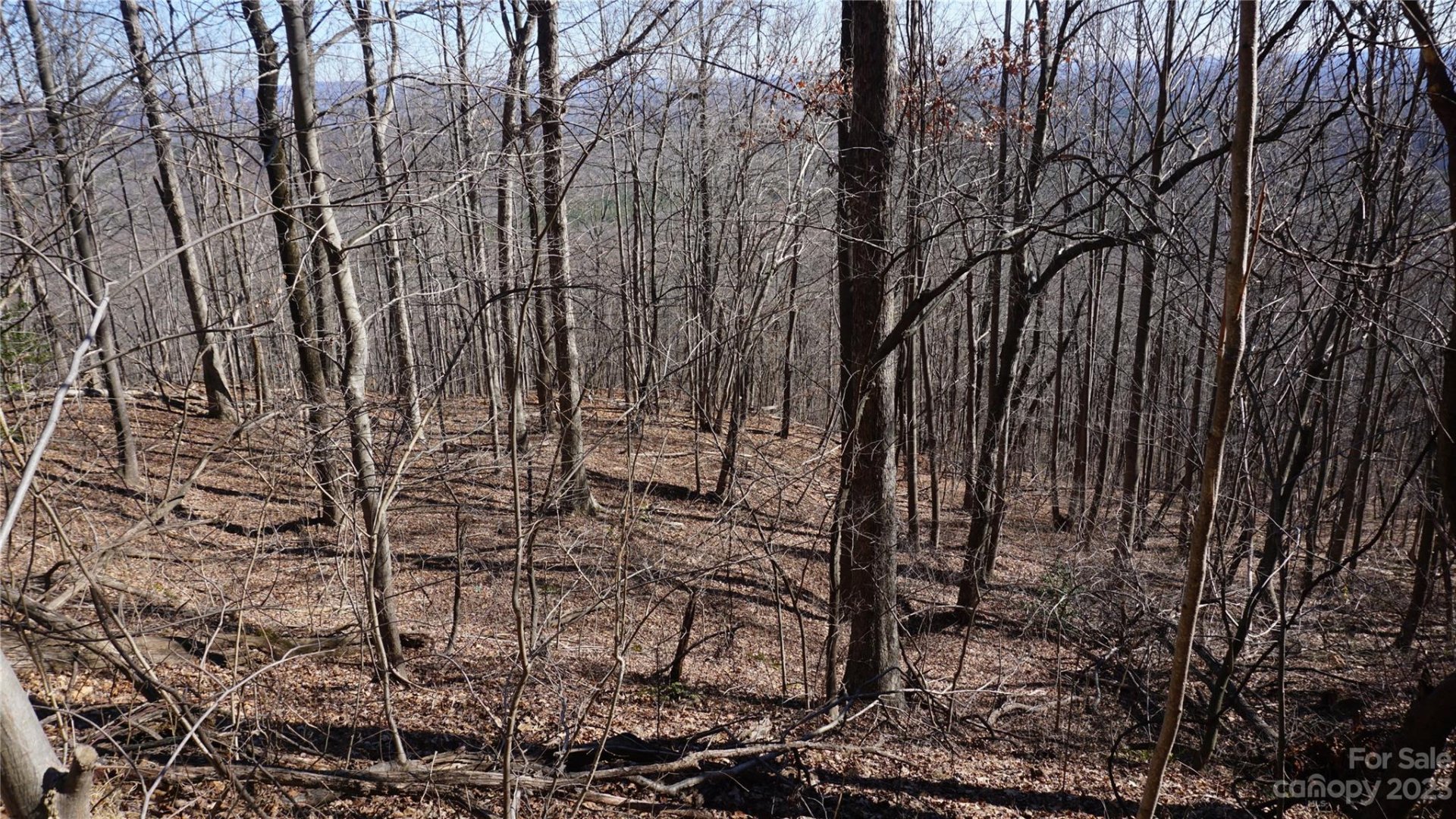 Property image 5 at 41 Pinnacle Parkway, Union Mills, NC 28167