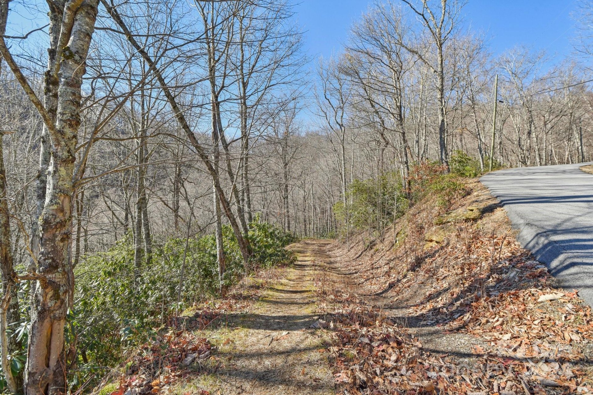 Property image 2 at 334 Paso Fino Drive, Maggie Valley, NC 28751