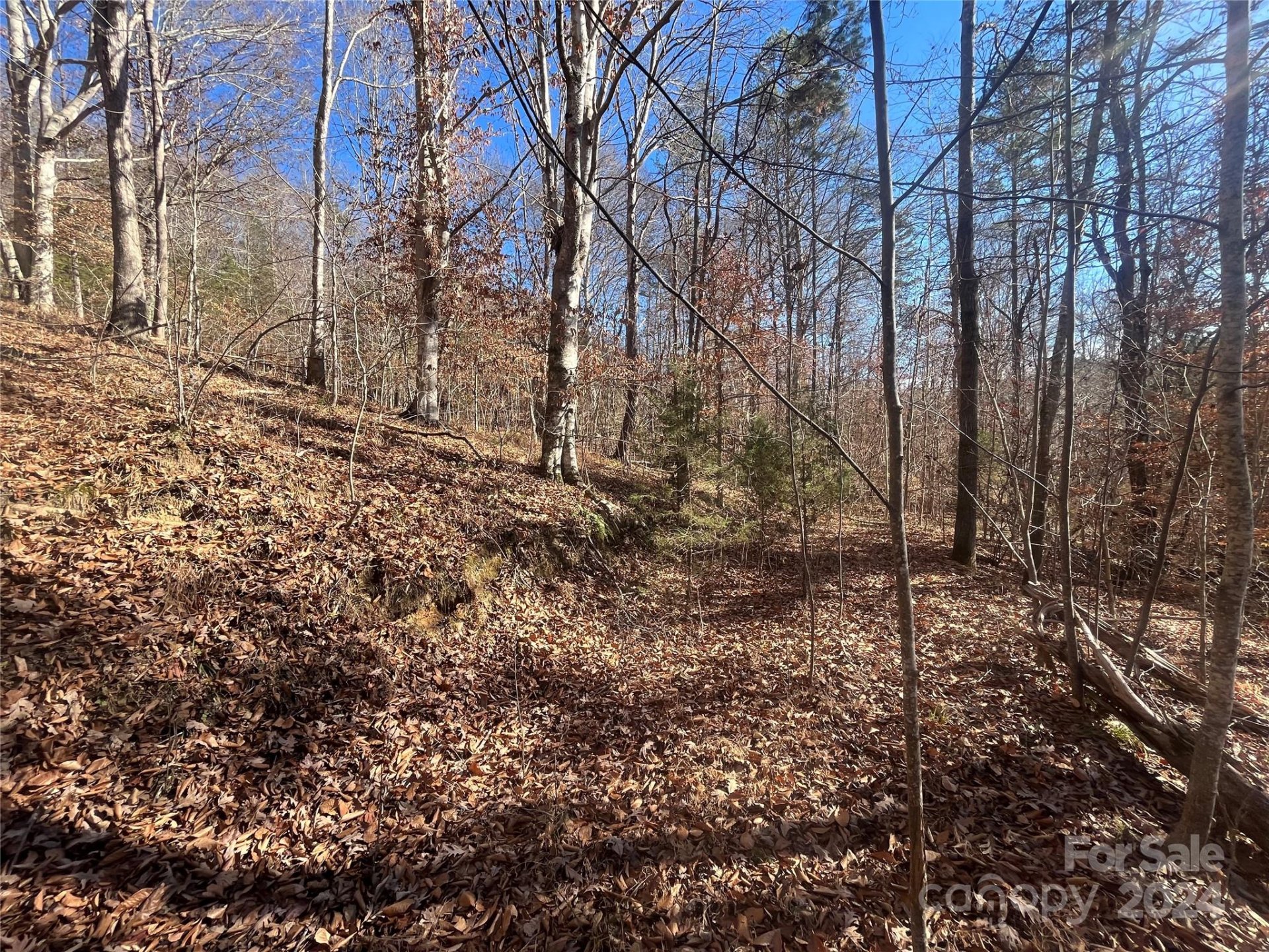 Property image 1 at Tbd Cross Creek Drive, Rutherfordton, NC 28139