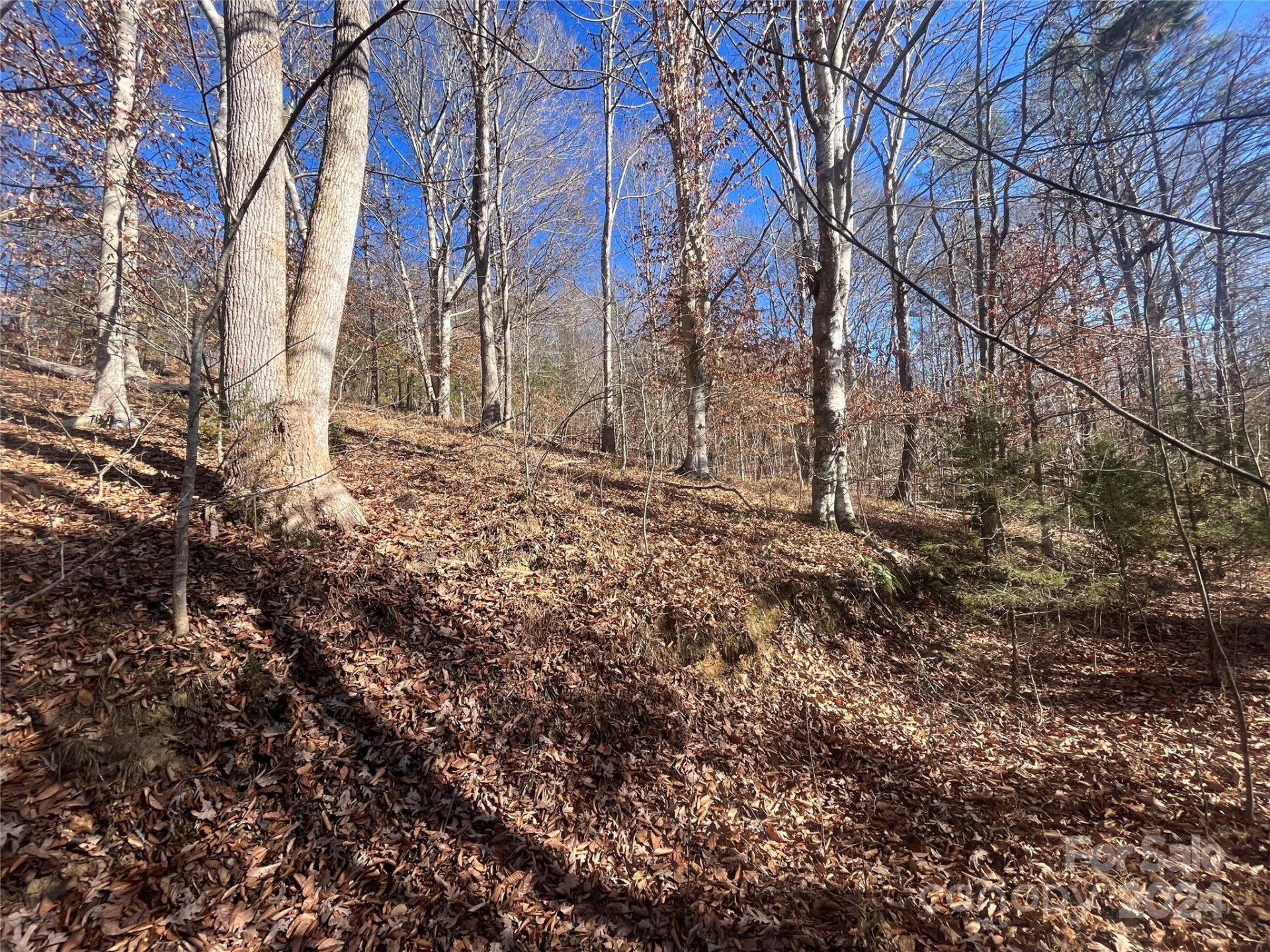 Property image 2 at Tbd Cross Creek Drive, Rutherfordton, NC 28139