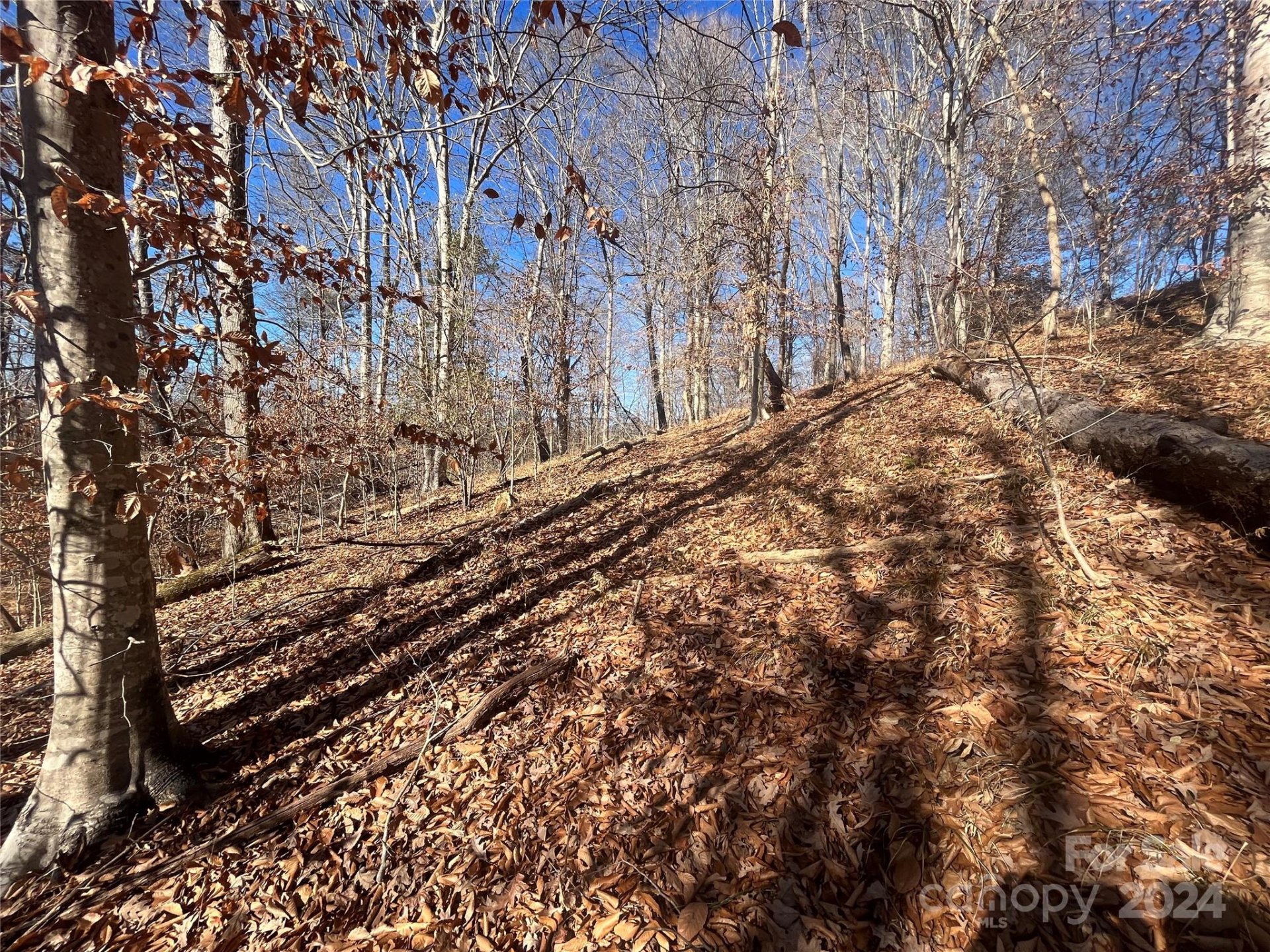 Property image 3 at Tbd Cross Creek Drive, Rutherfordton, NC 28139
