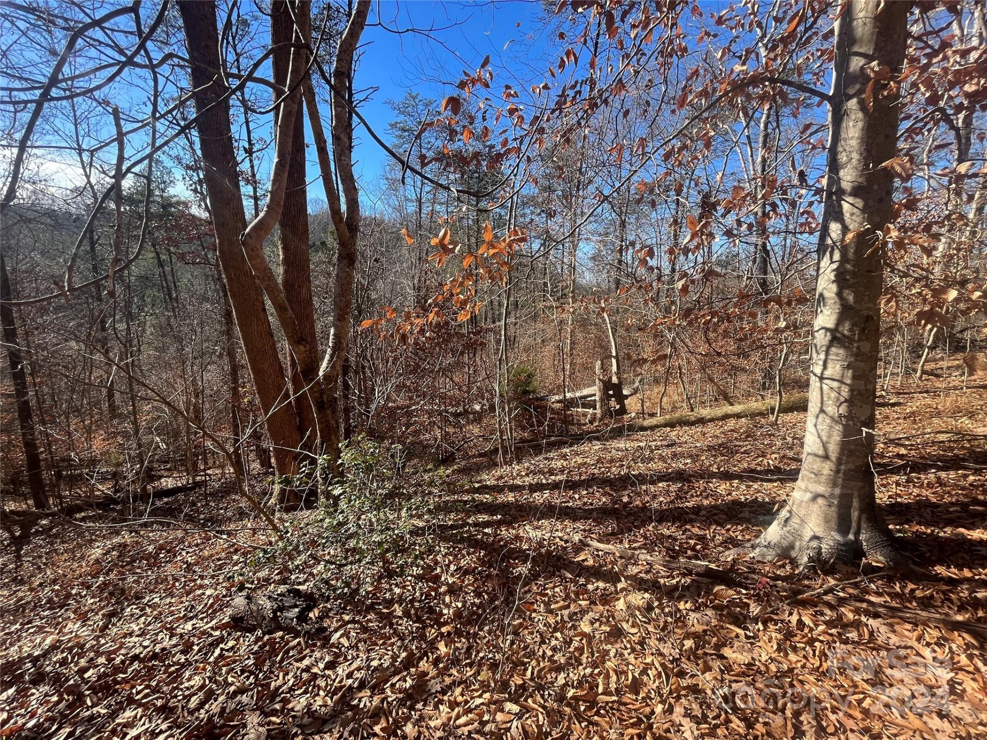 Property image 4 at Tbd Cross Creek Drive, Rutherfordton, NC 28139