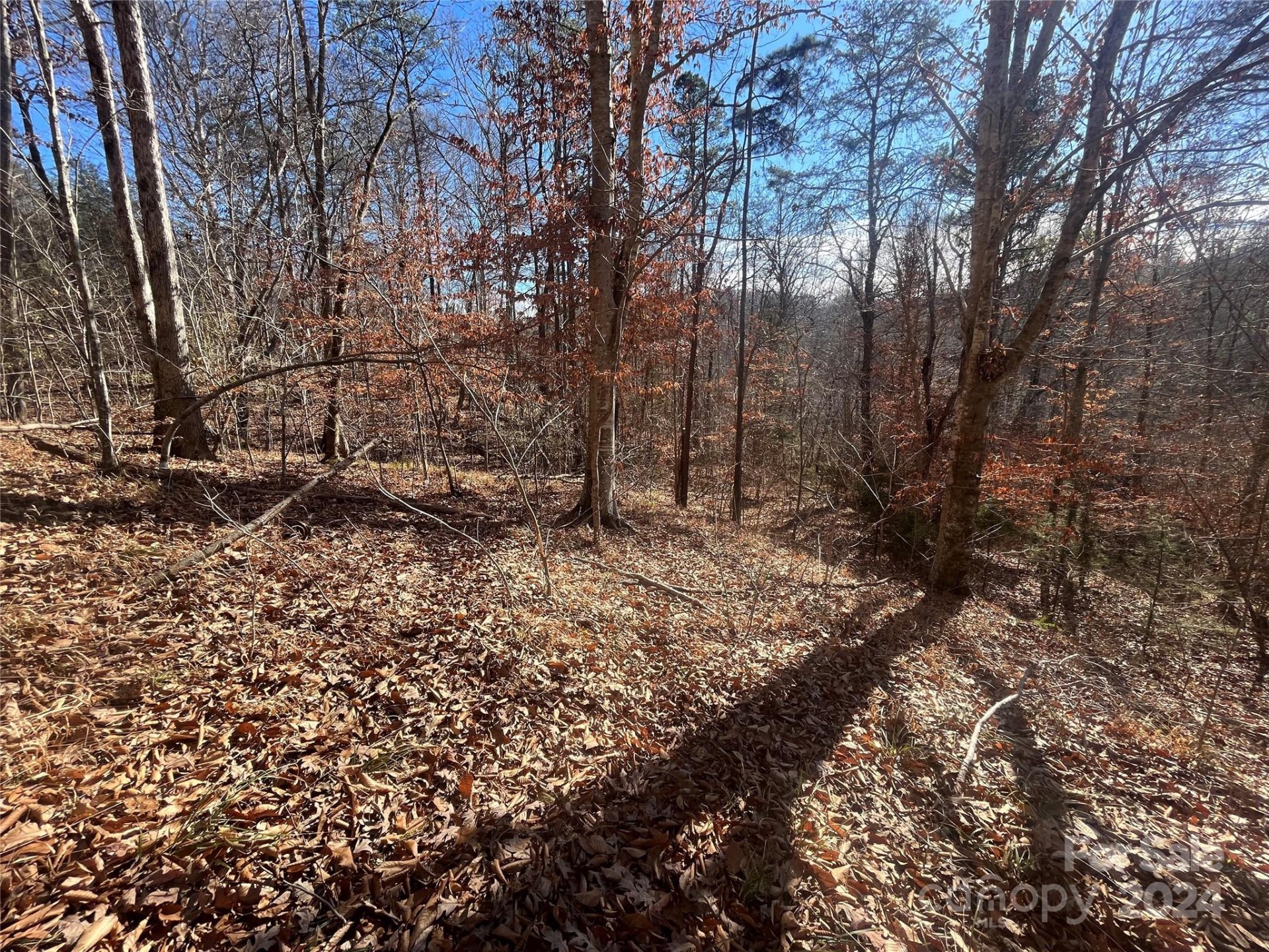Property image 5 at Tbd Cross Creek Drive, Rutherfordton, NC 28139