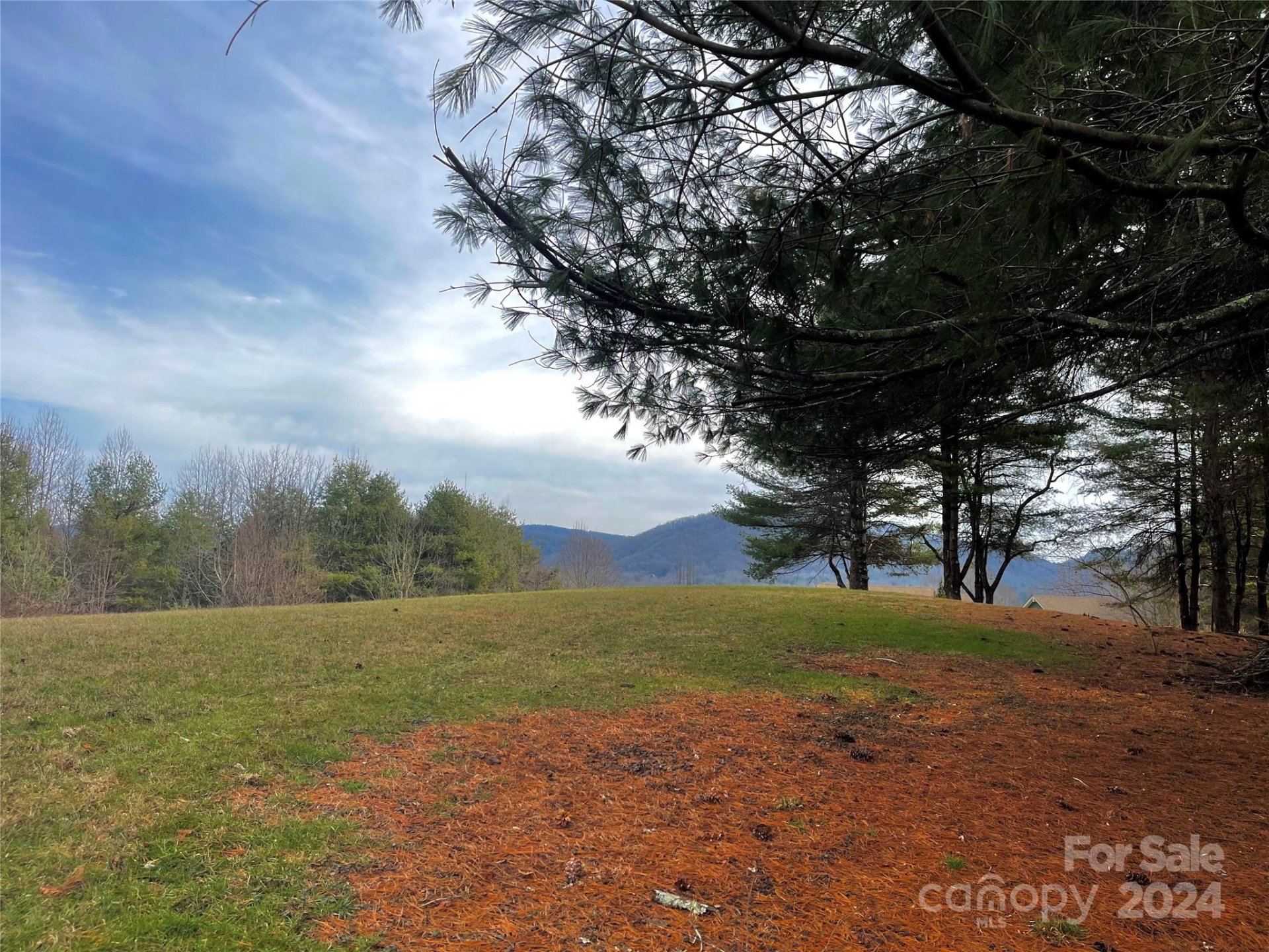 Property image 1 at Lot 33 Dover Lane, Brevard, NC 28712