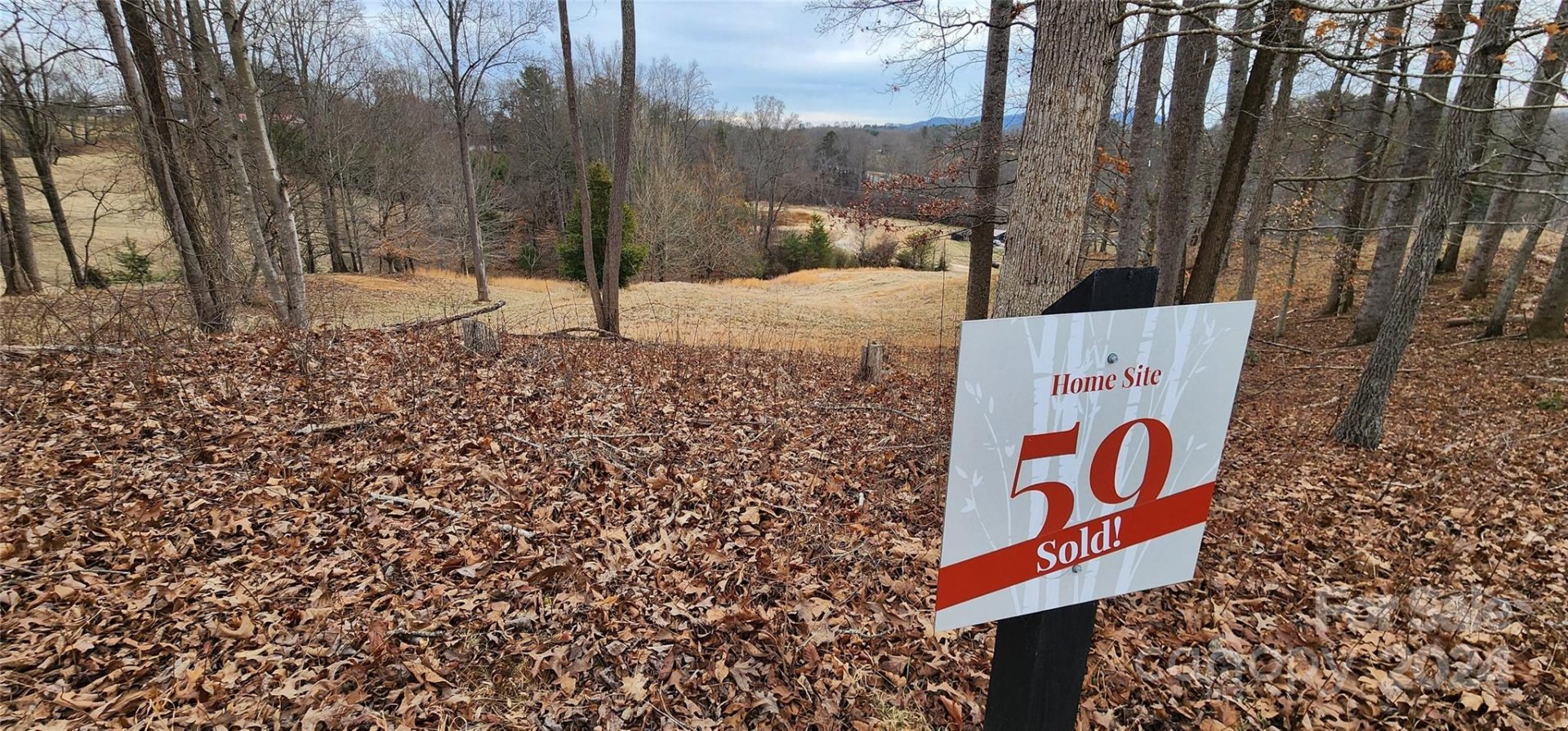 Property image 1 at 48 Sweet Fern Parkway, Asheville, NC 28806