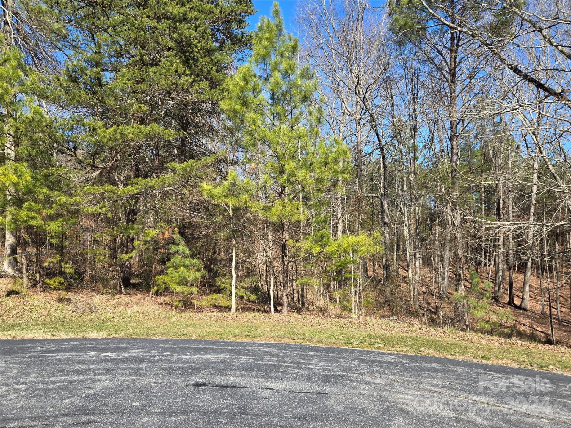 Property image 5 at 183 Bayview Court, Badin Lake, NC 28127