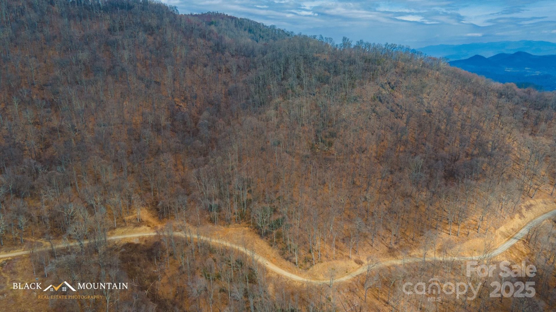 Property image 2 at 999 High Rock View Drive, Canton, NC 28716