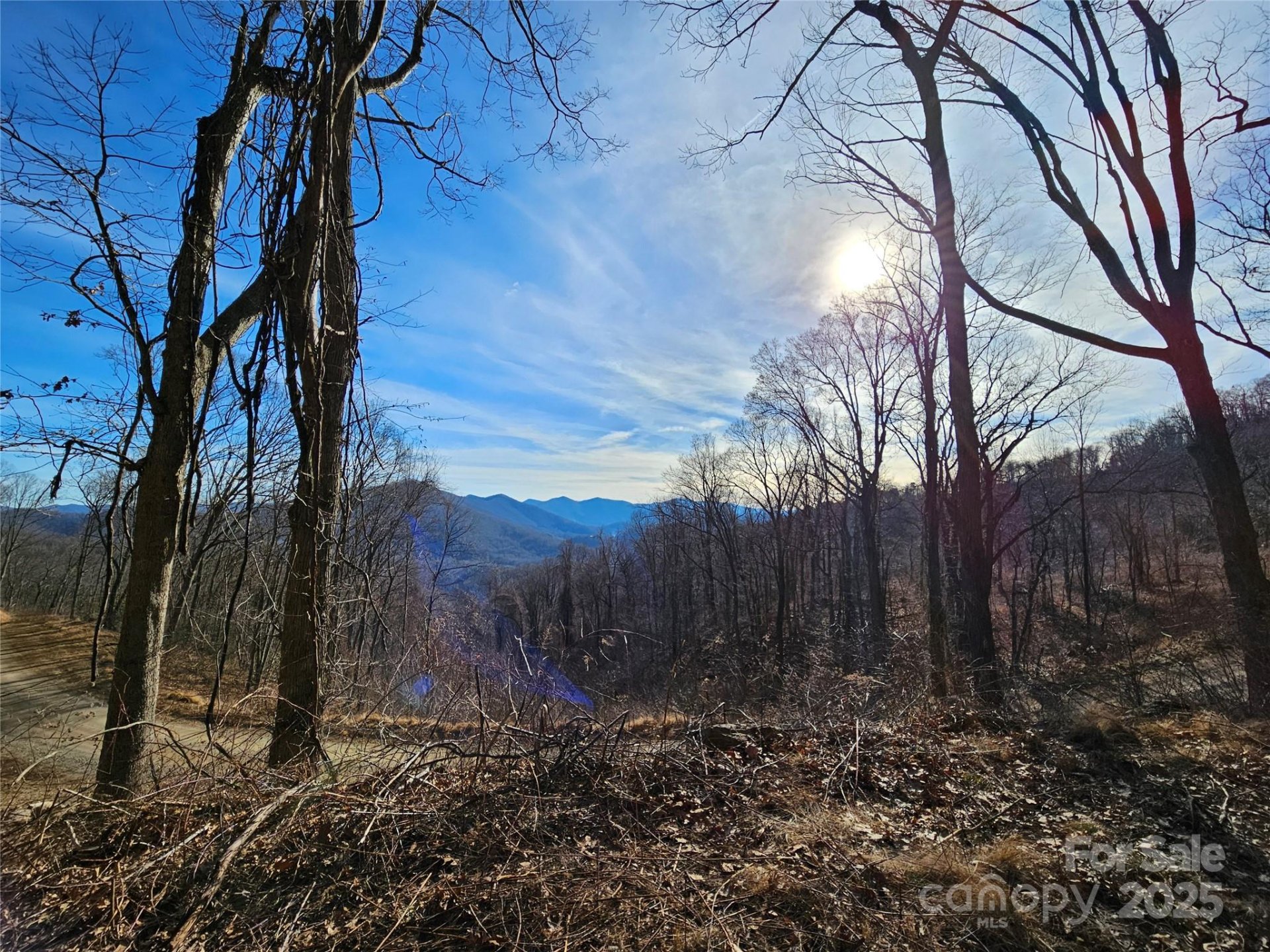 Property image 4 at 999 High Rock View Drive, Canton, NC 28716
