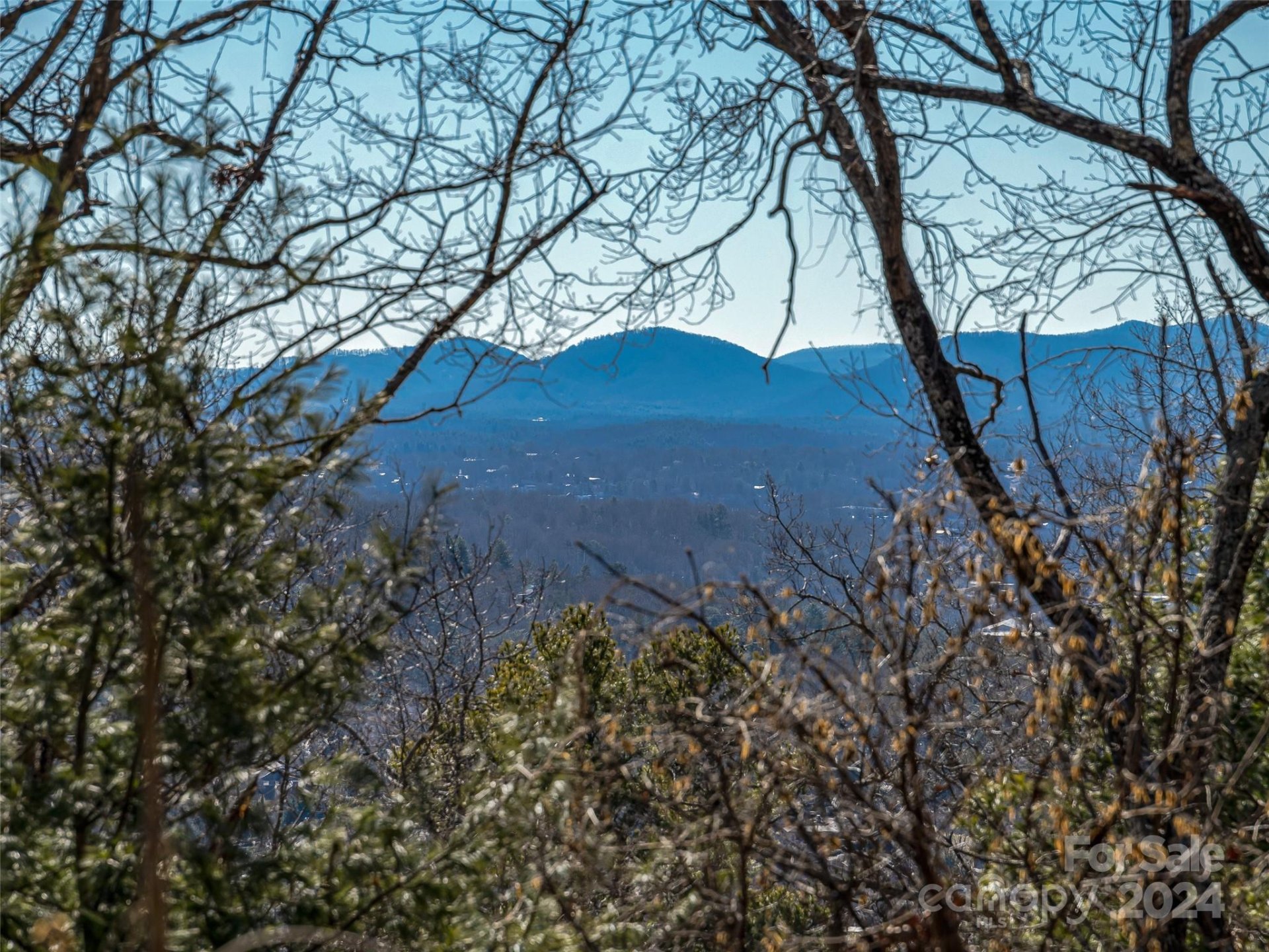 Property image 2 at 159 Senator Reynolds Road, Asheville, NC 28804
