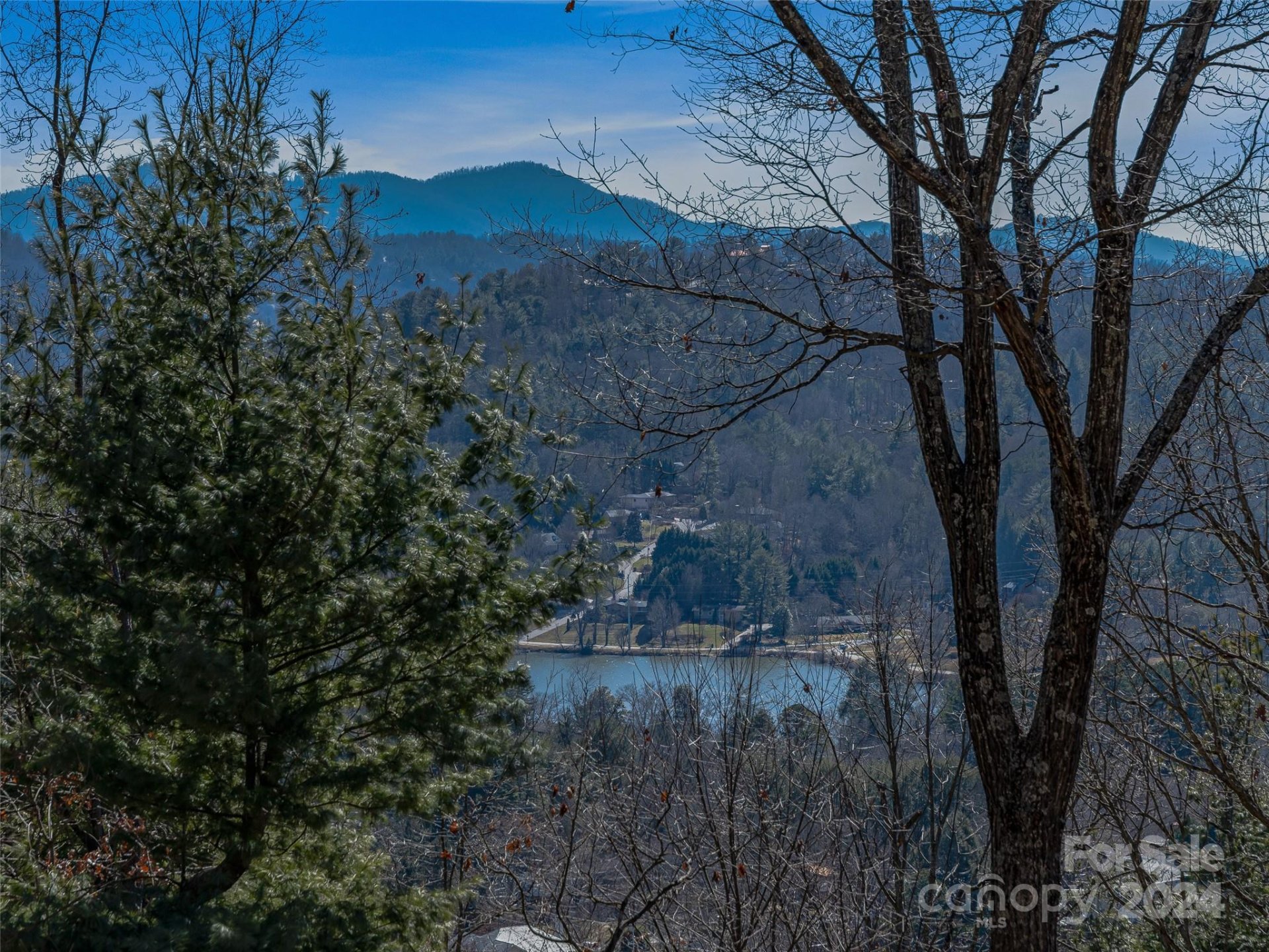 Property image 3 at 159 Senator Reynolds Road, Asheville, NC 28804